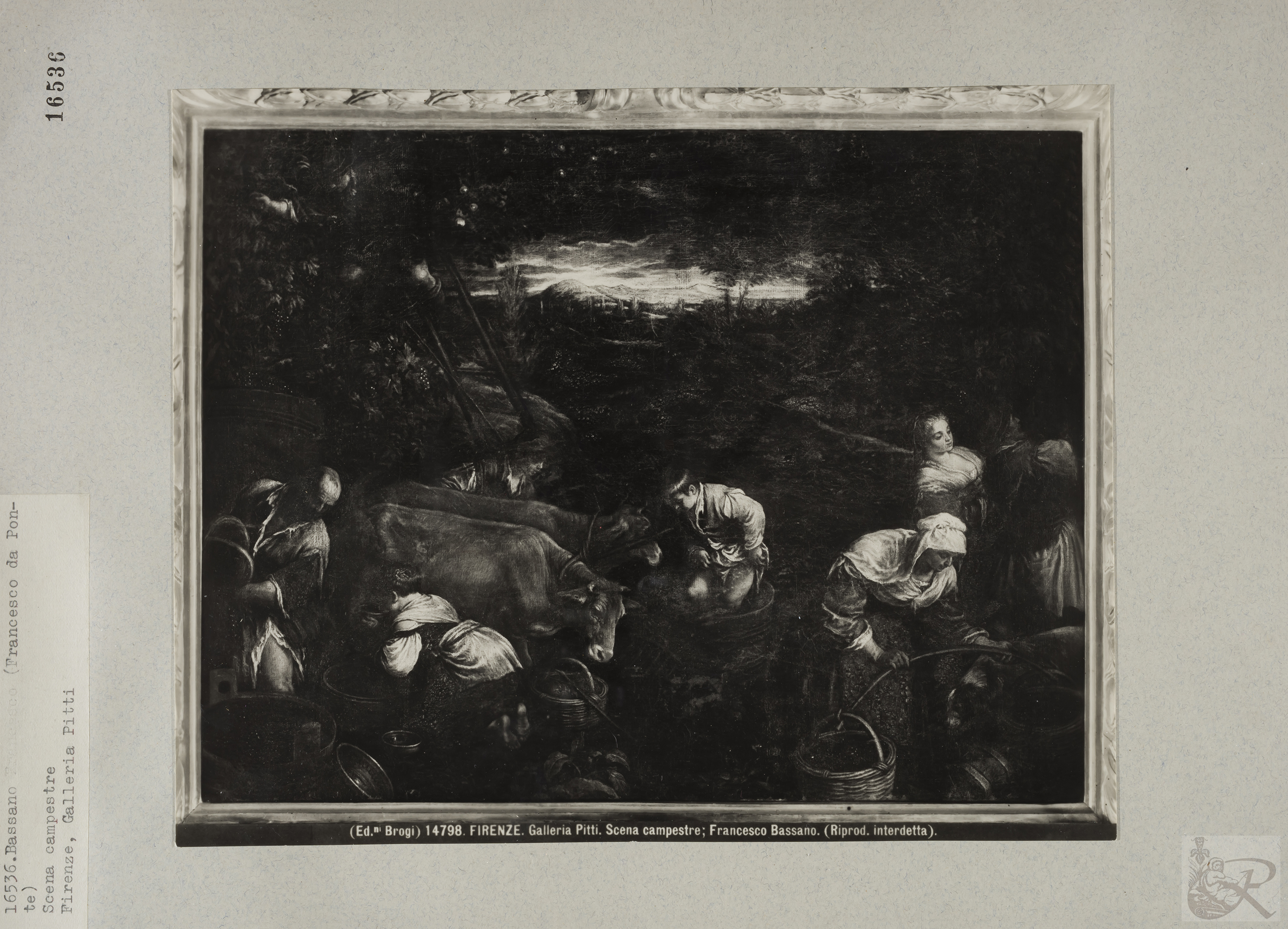 Immagine di anteprima