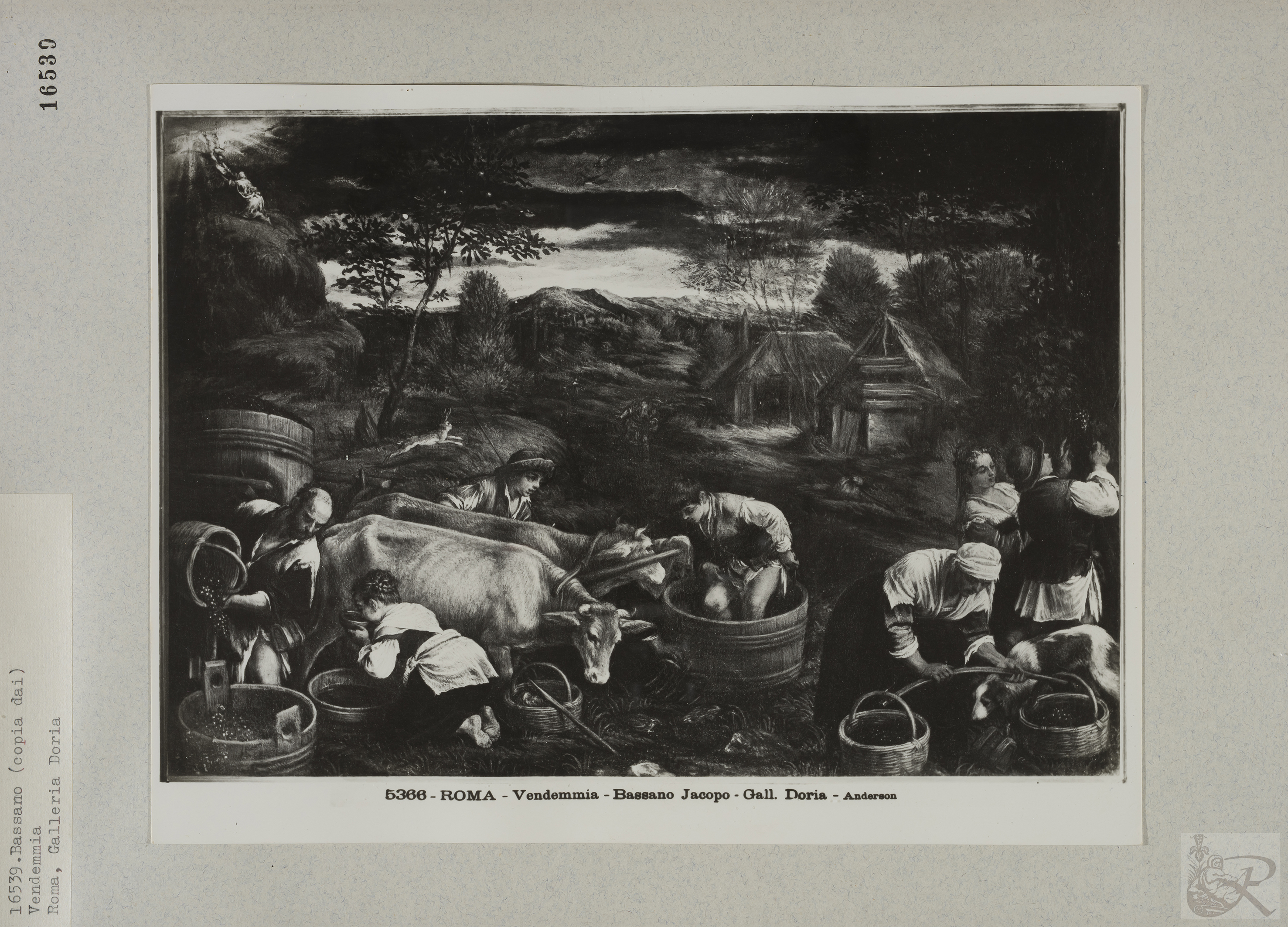 Immagine di anteprima