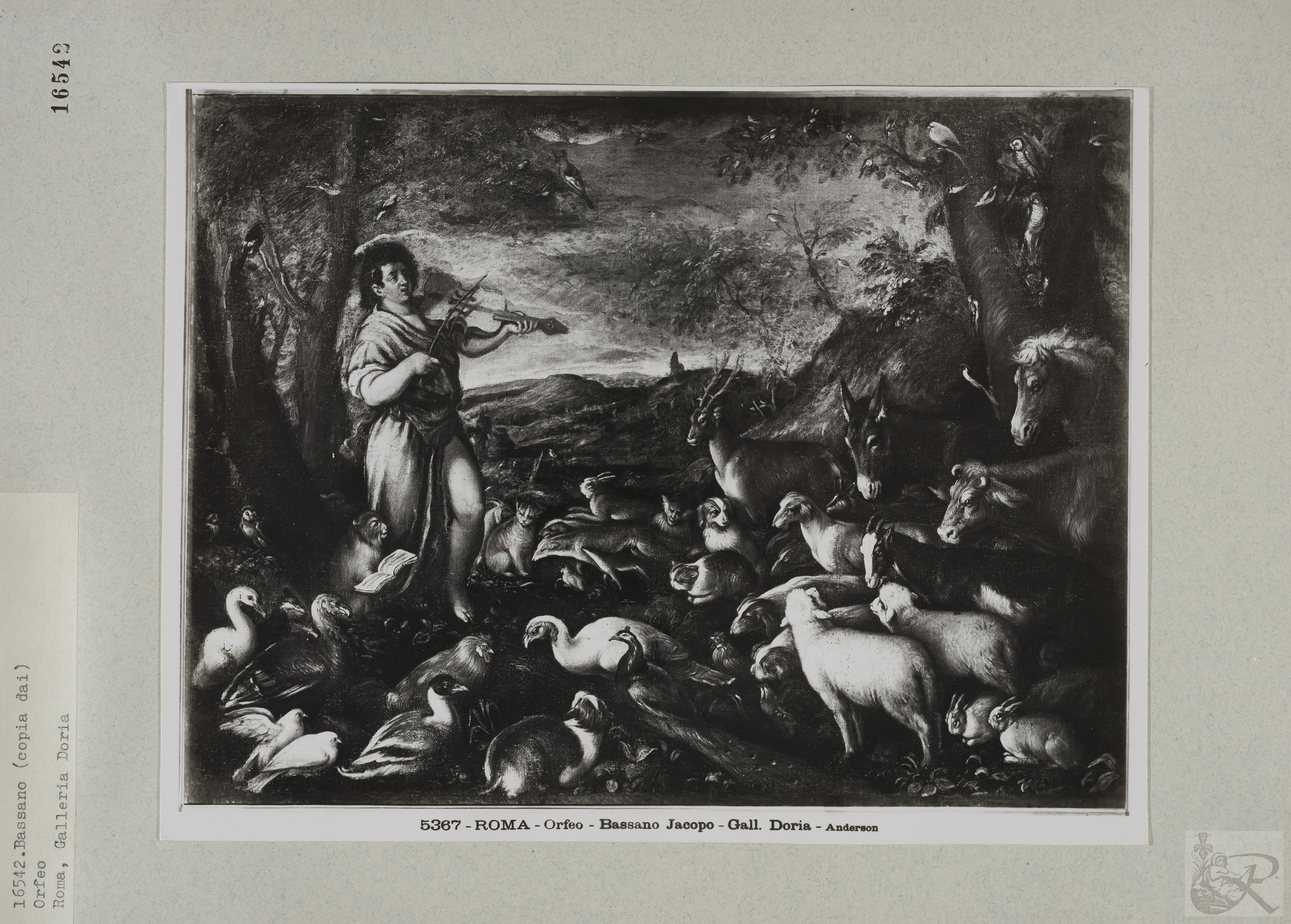 Immagine di anteprima