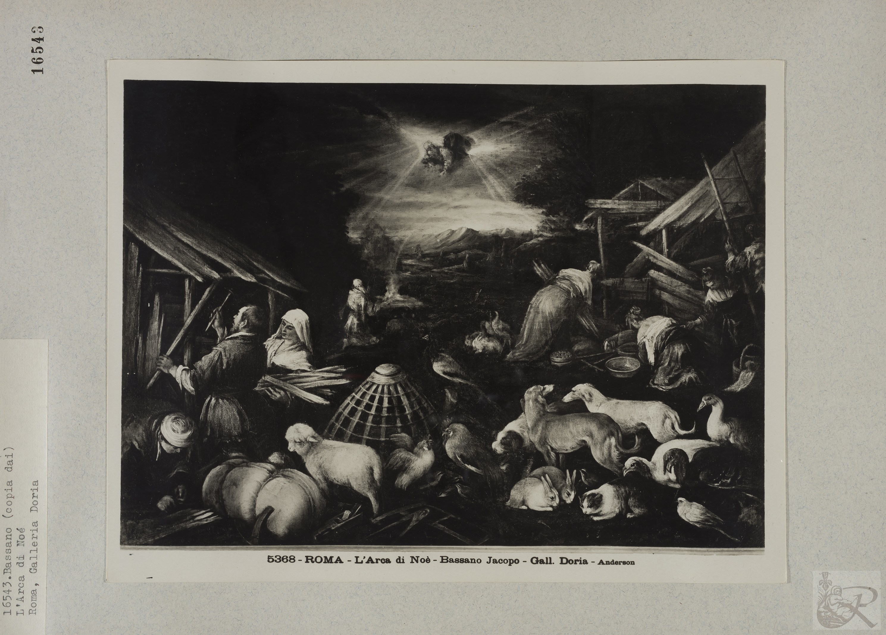 Immagine di anteprima