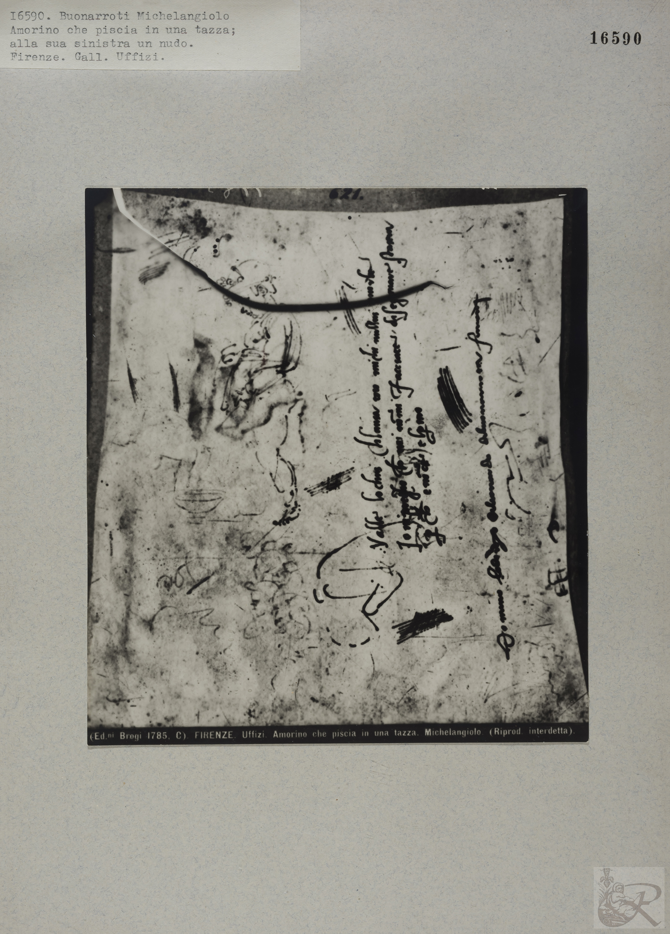 Immagine di anteprima