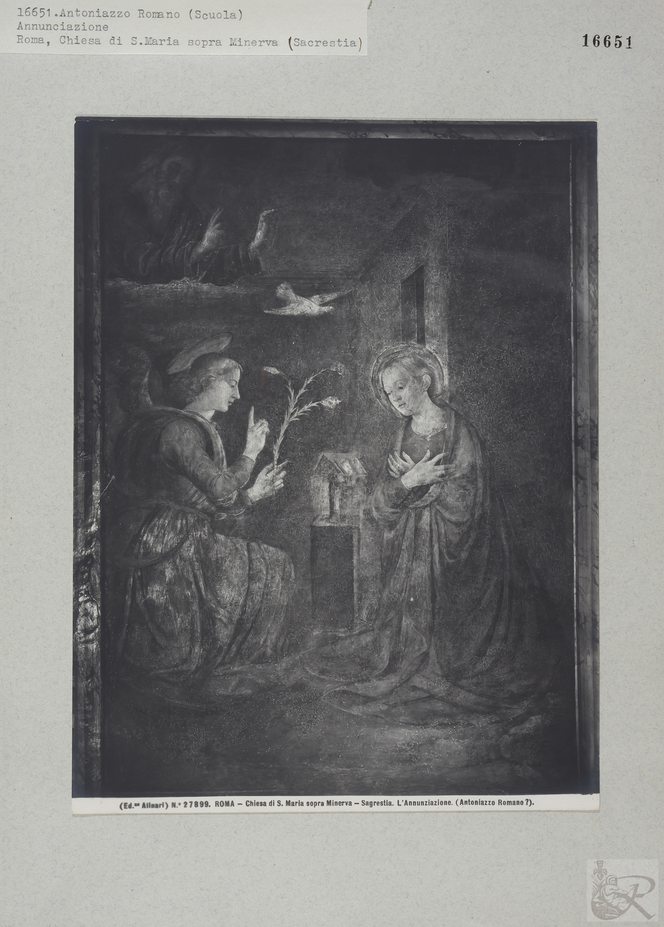 Immagine di anteprima