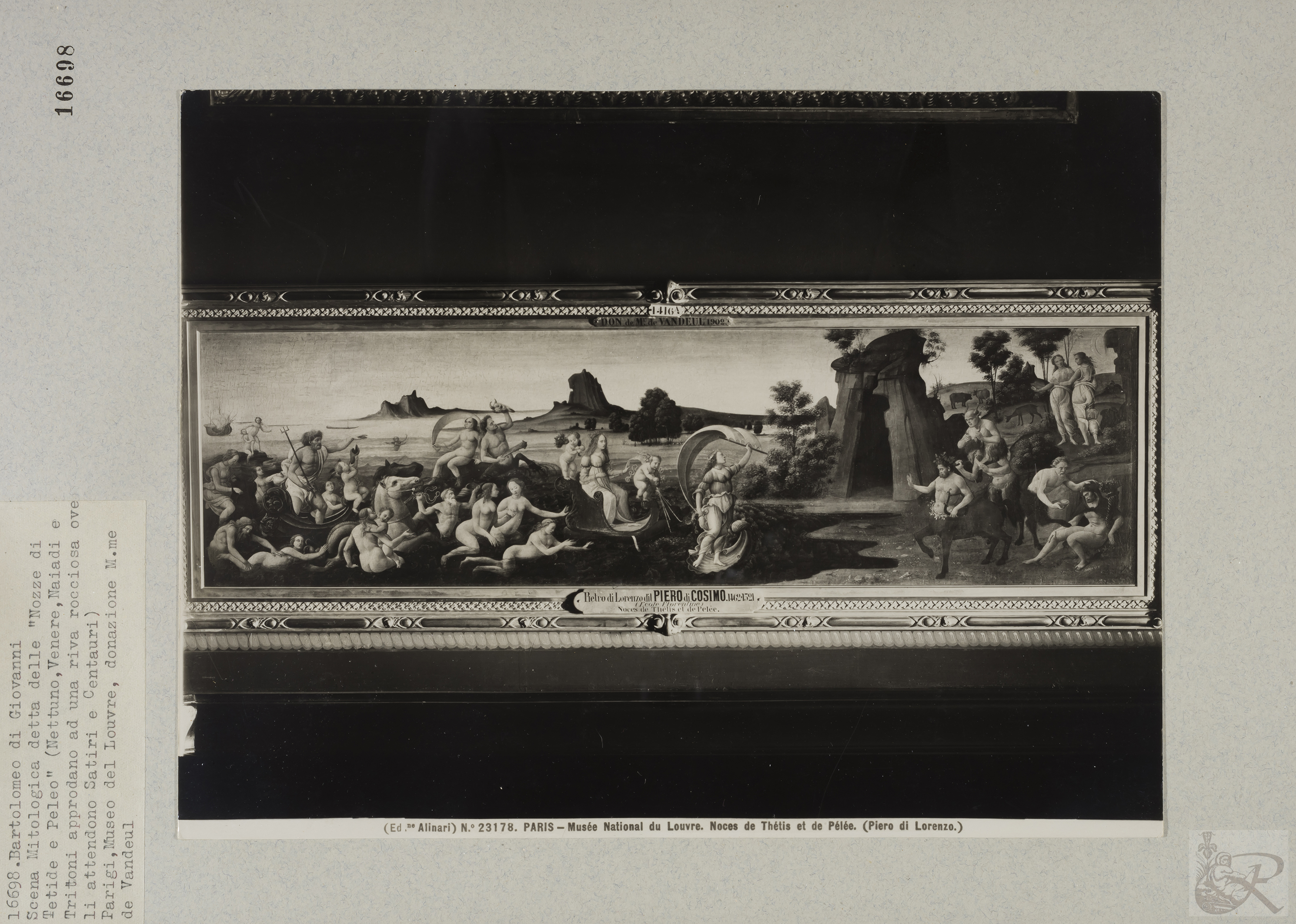 Immagine di anteprima