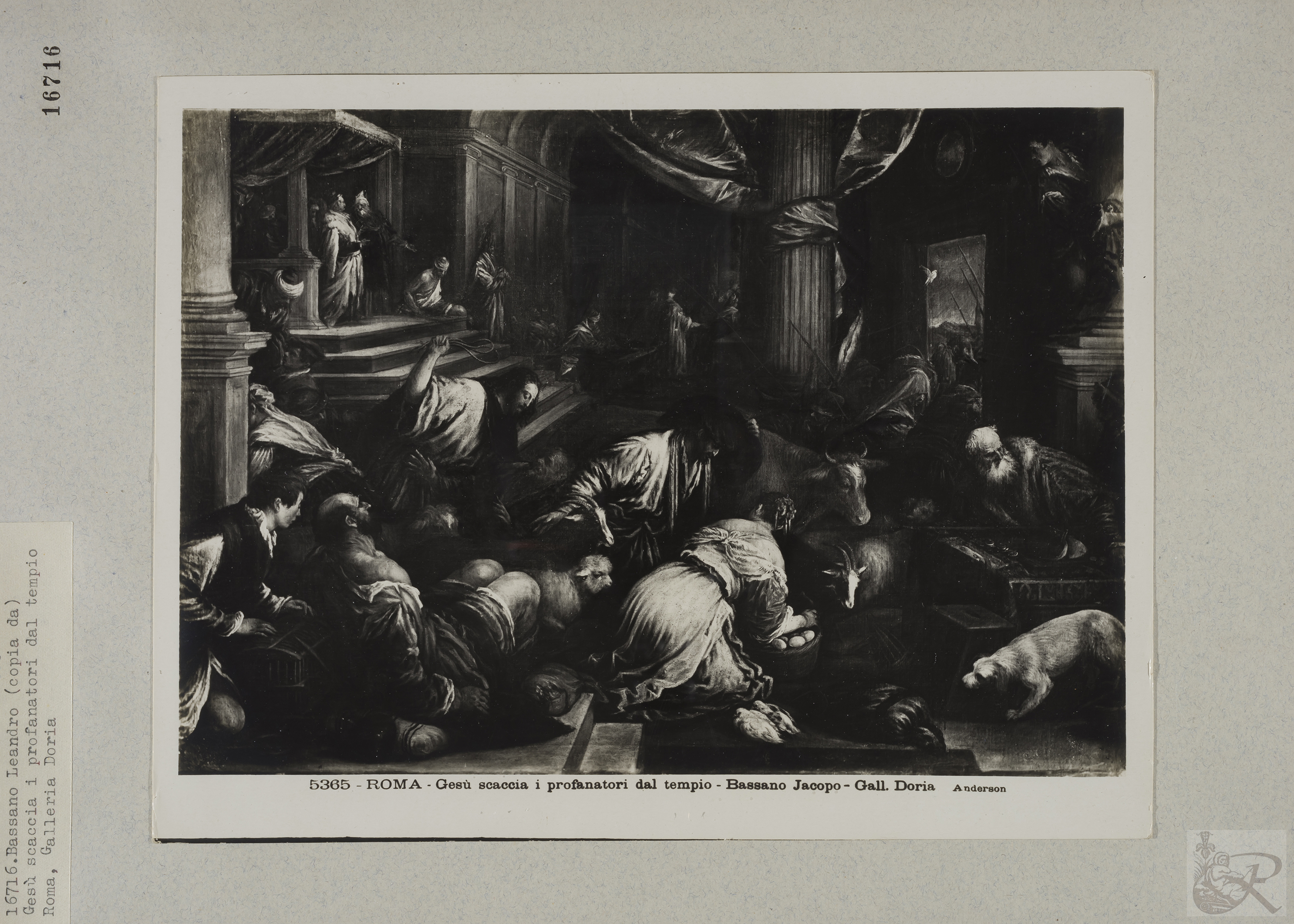 Immagine di anteprima