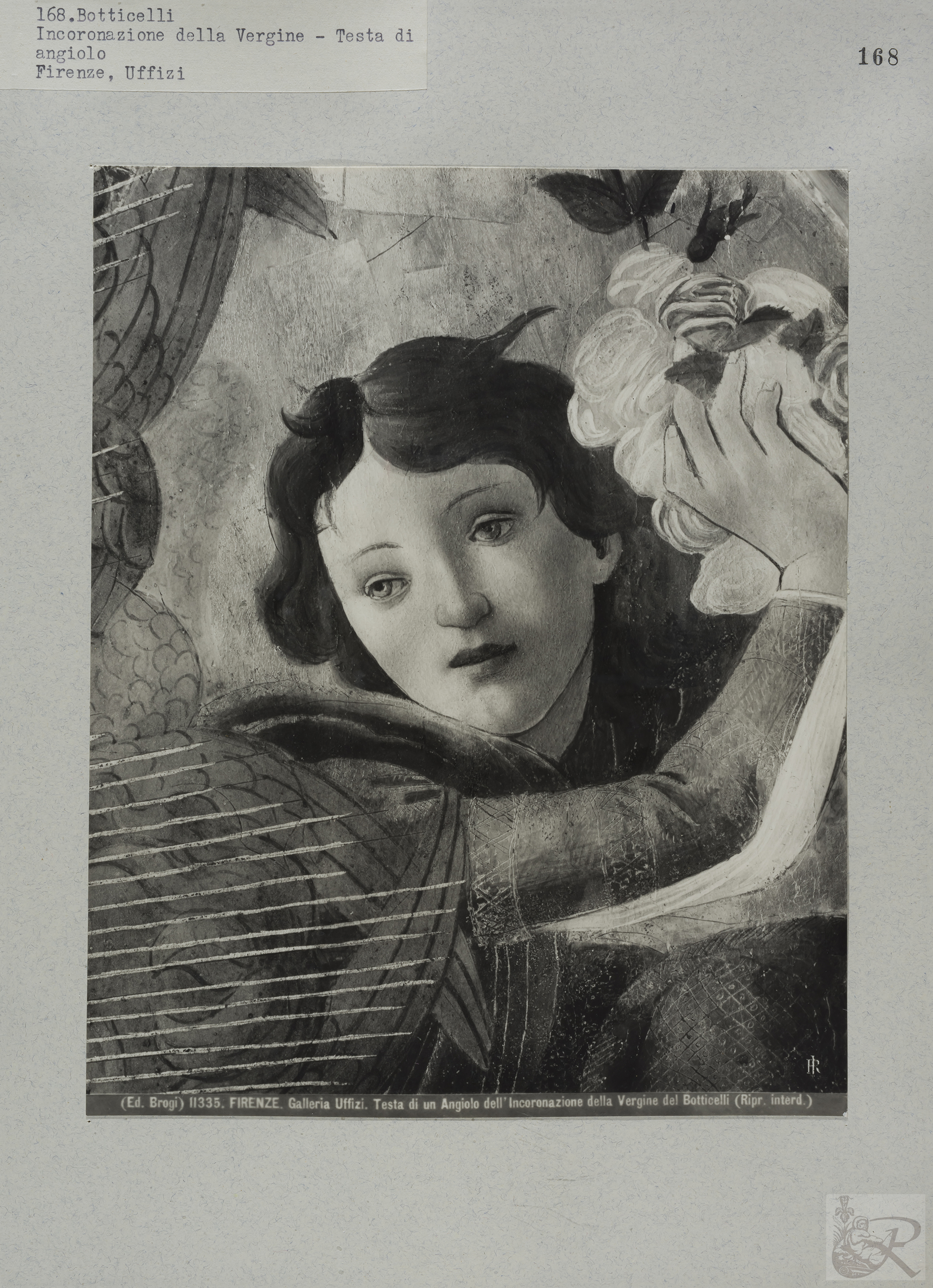 Immagine di anteprima