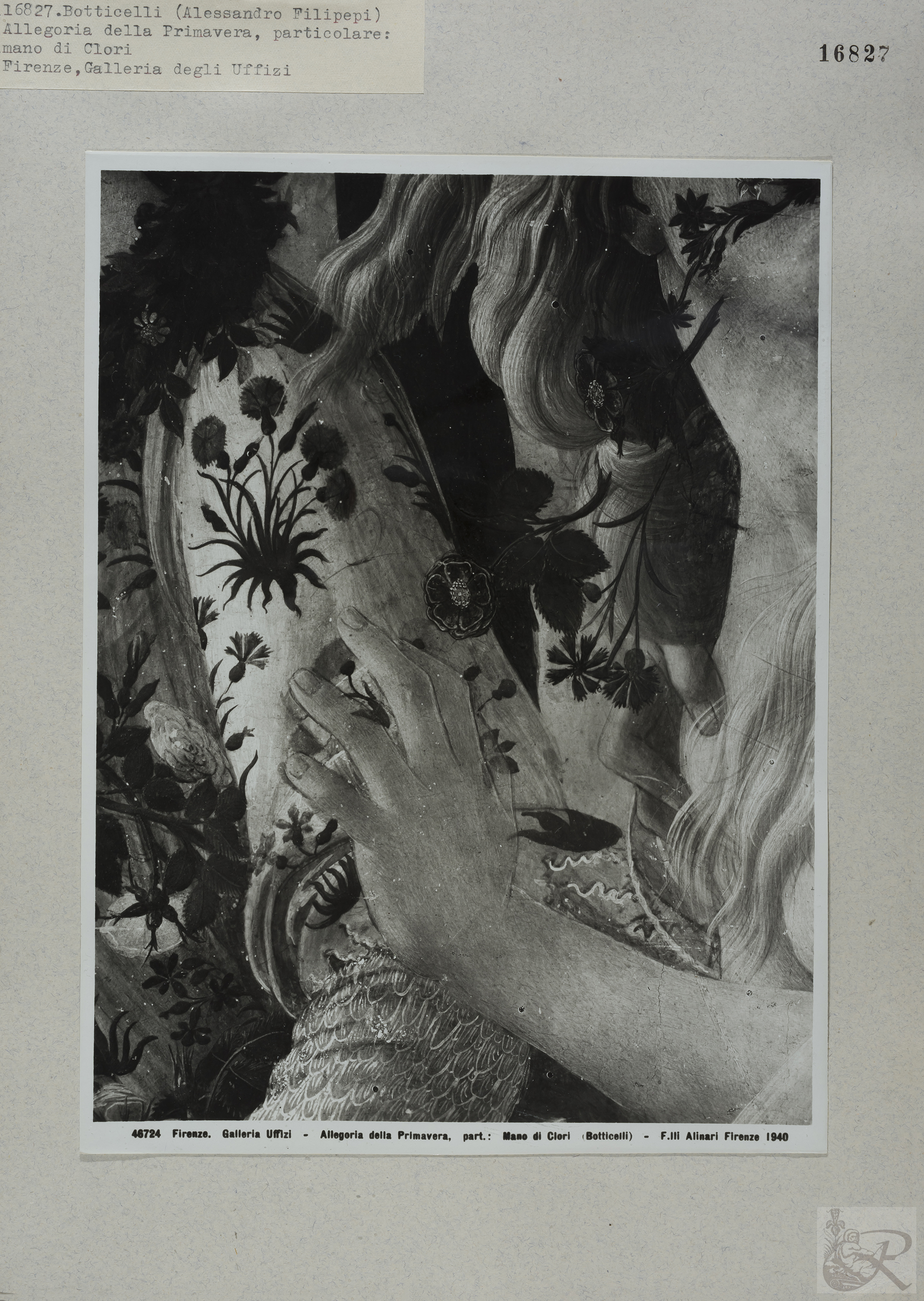 Immagine di anteprima