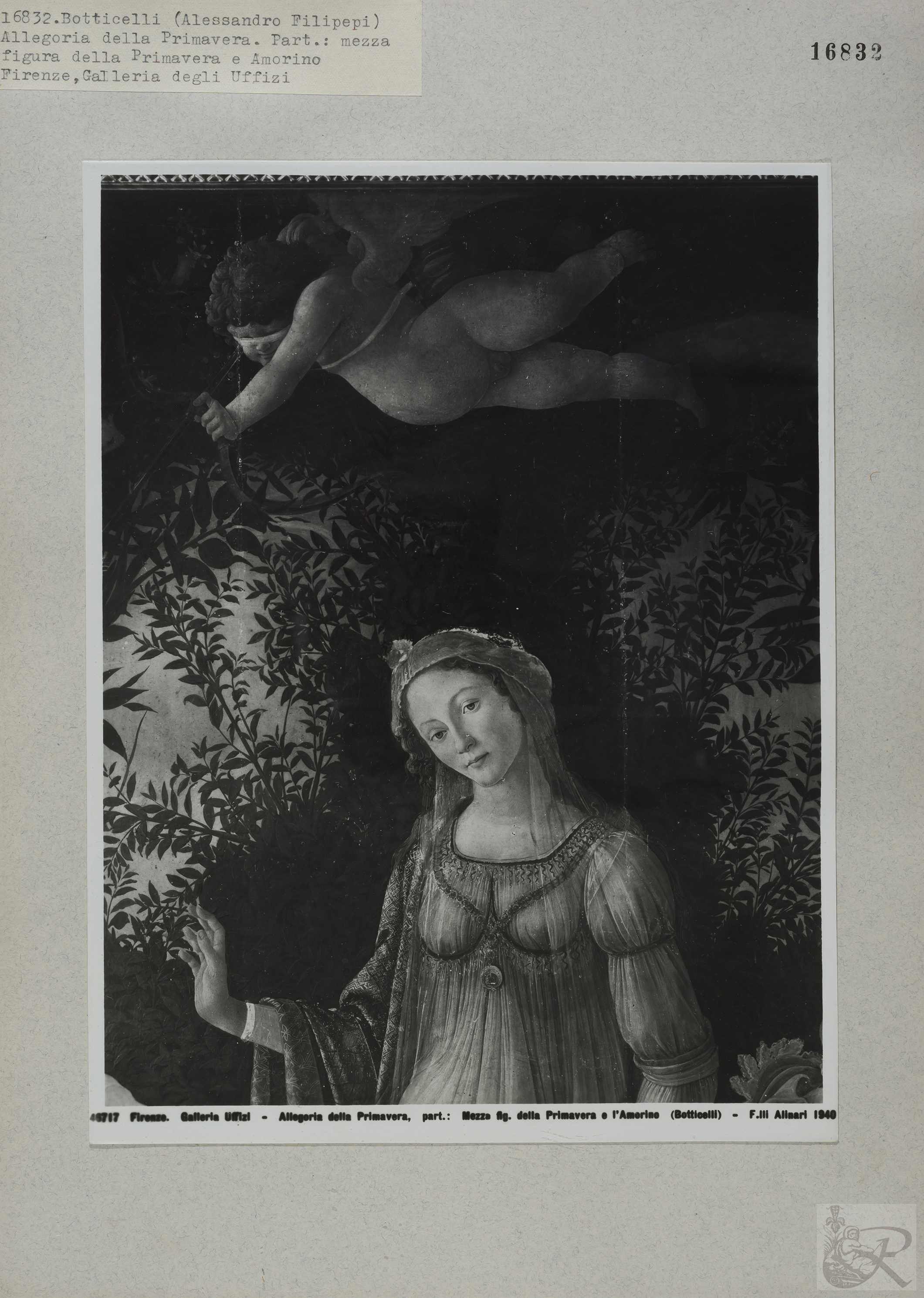 Immagine di anteprima