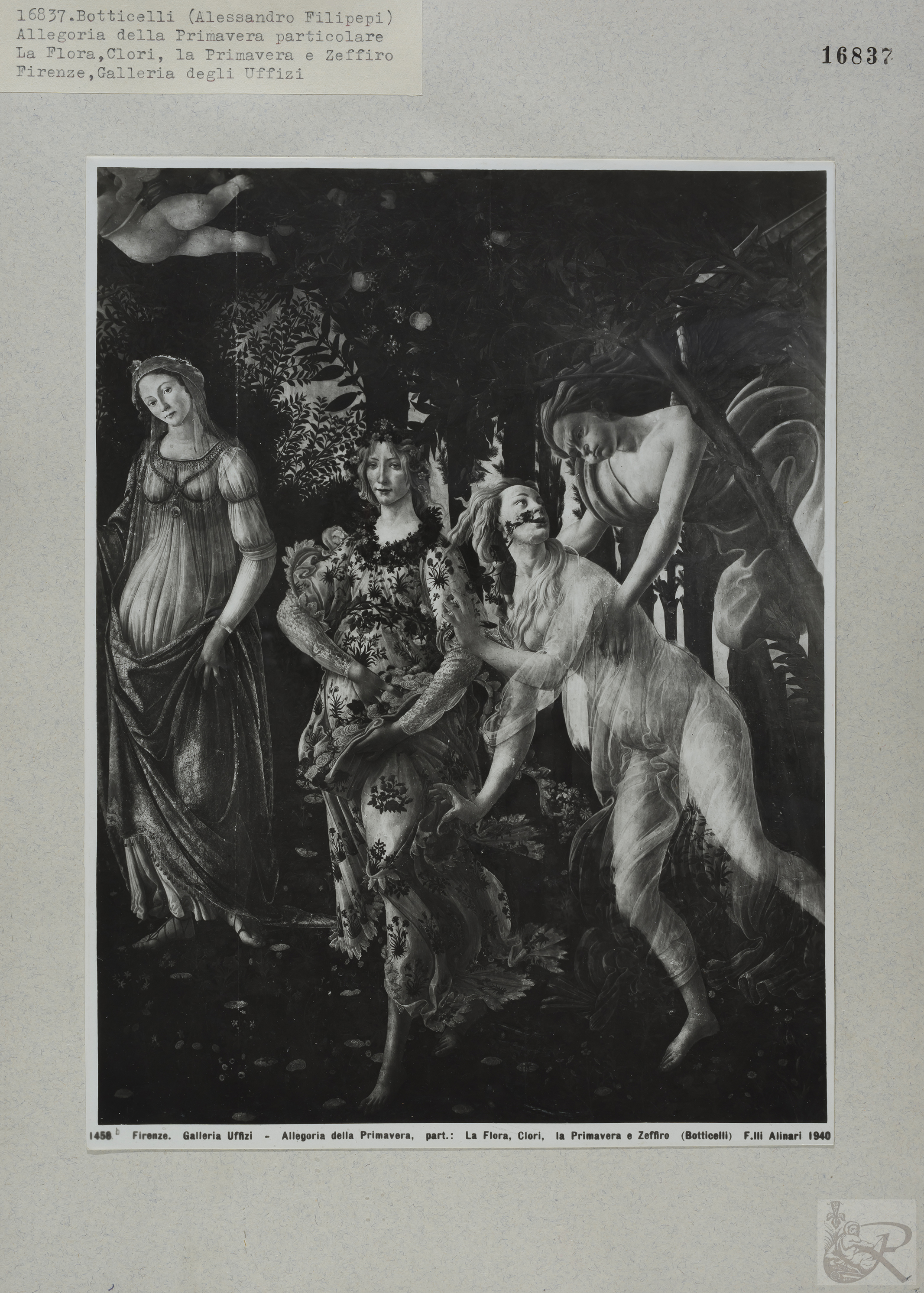 Immagine di anteprima