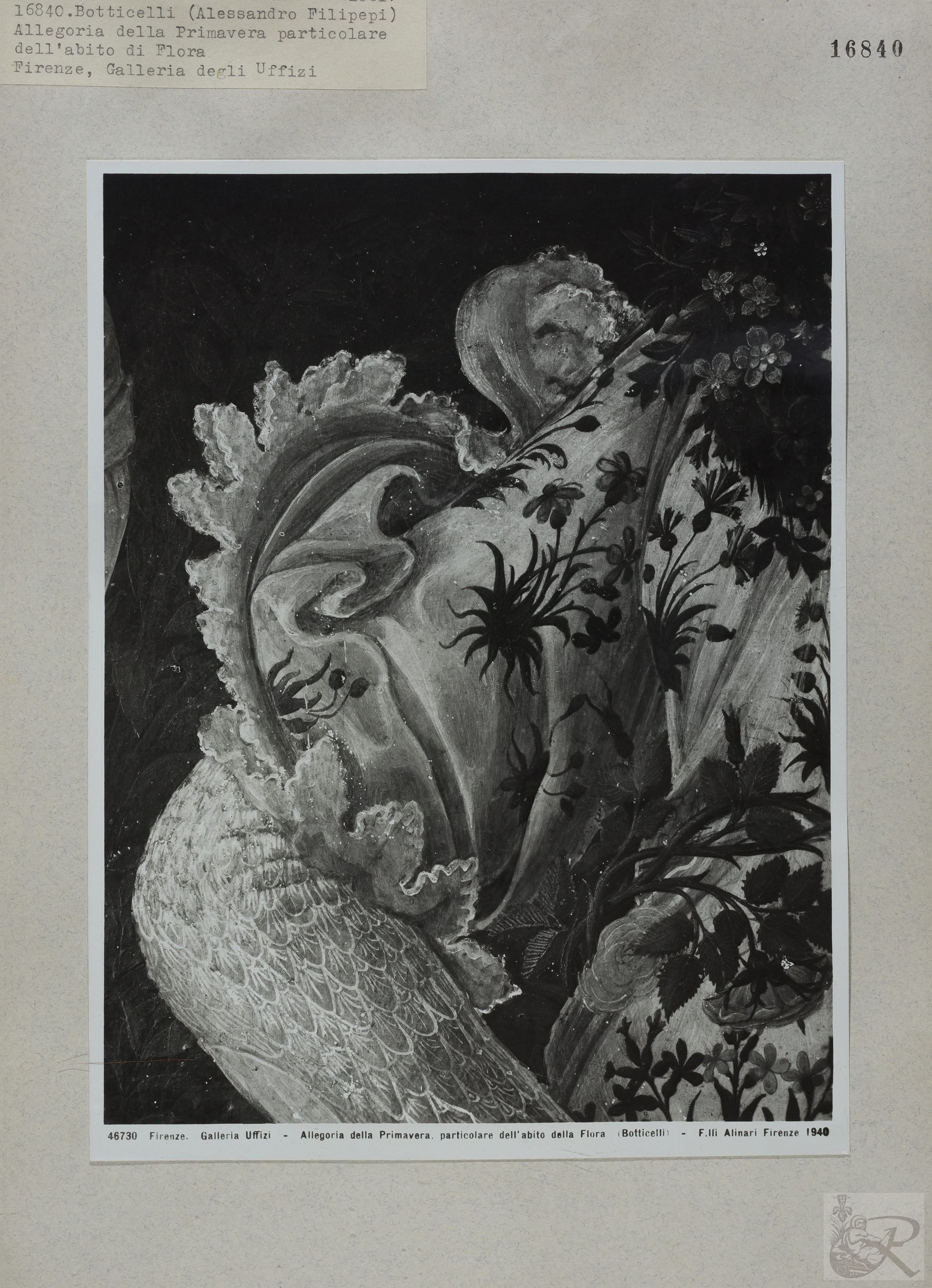 Immagine di anteprima