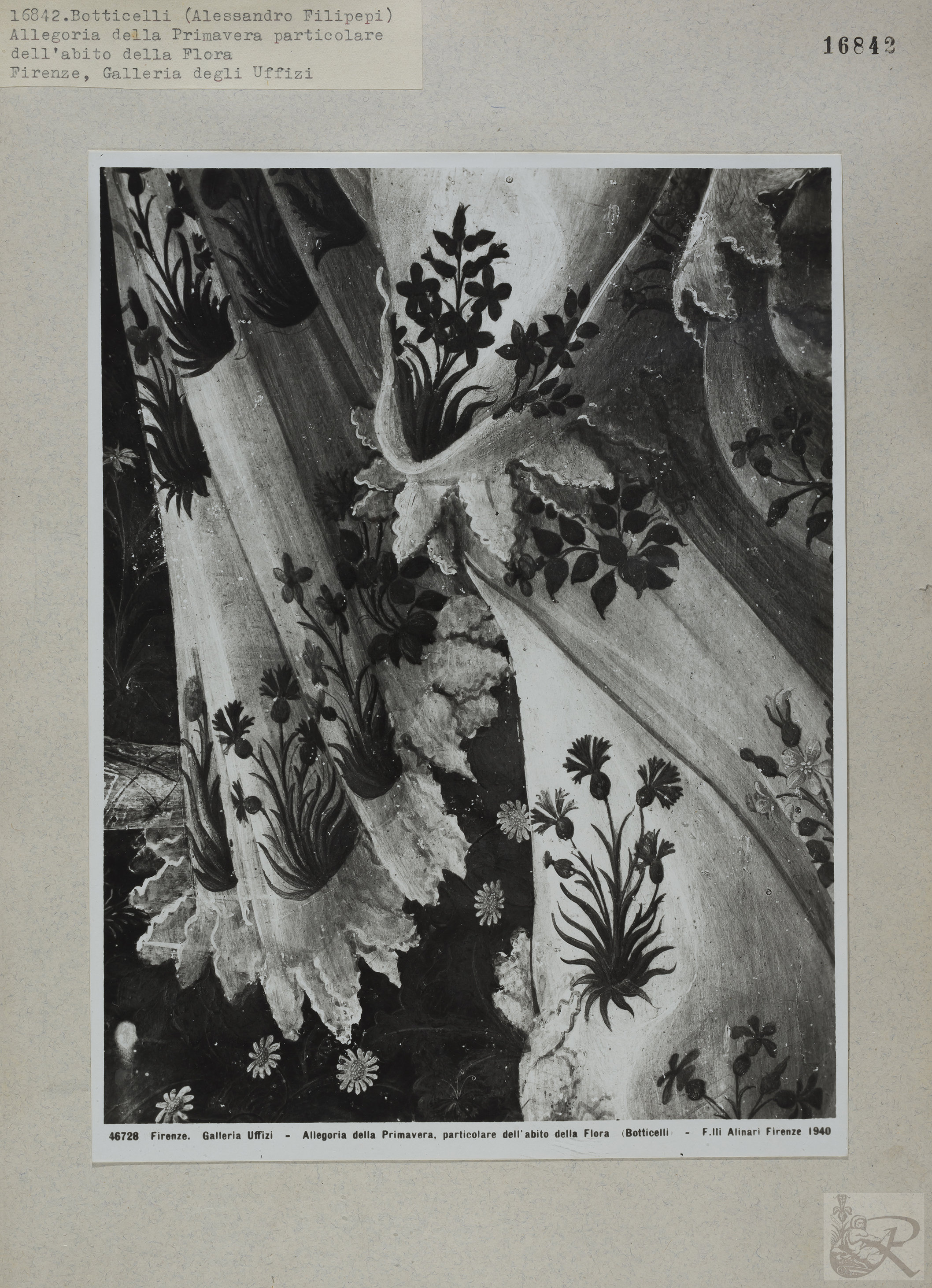 Immagine di anteprima