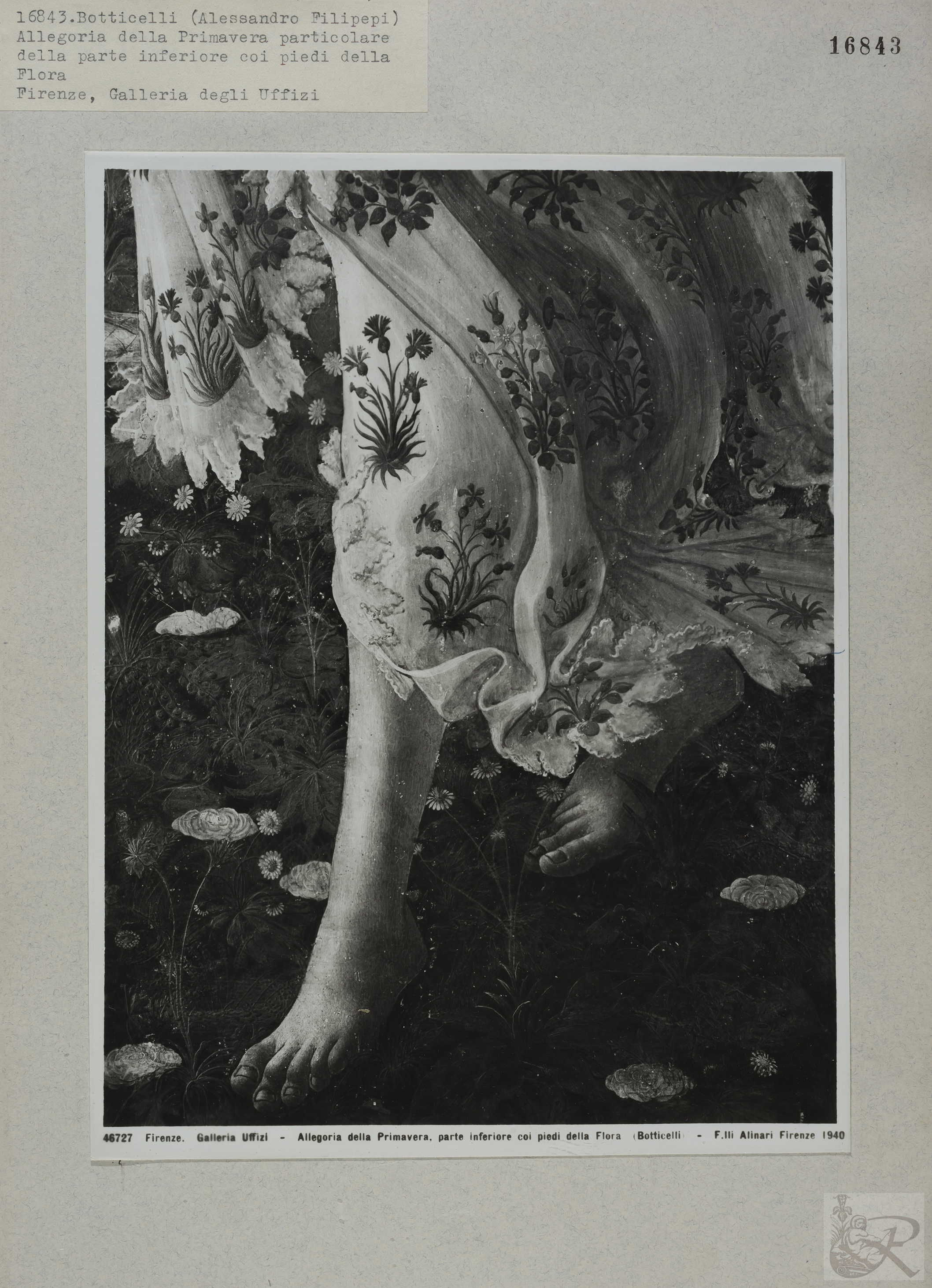 Immagine di anteprima