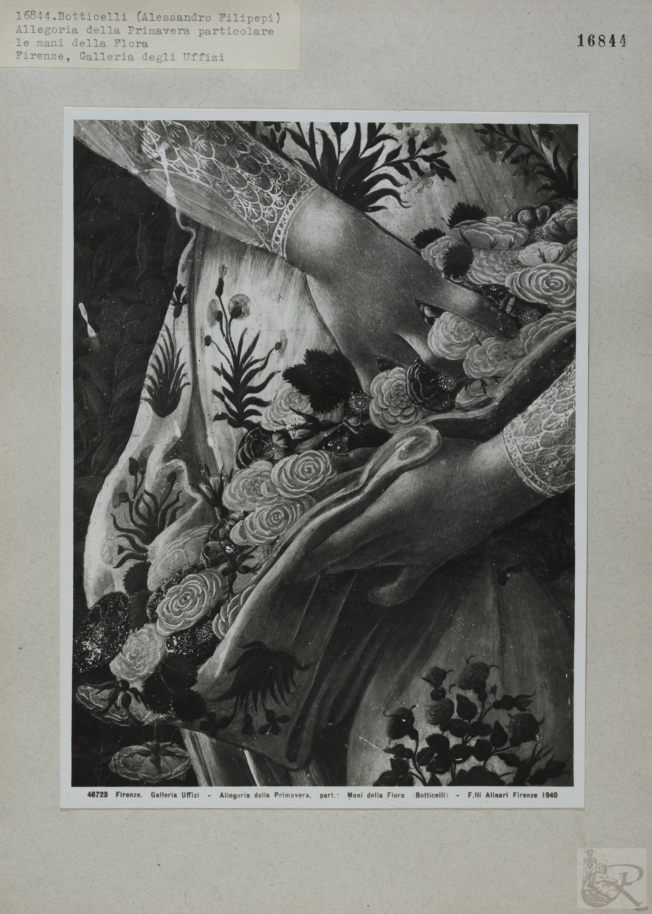 Immagine di anteprima