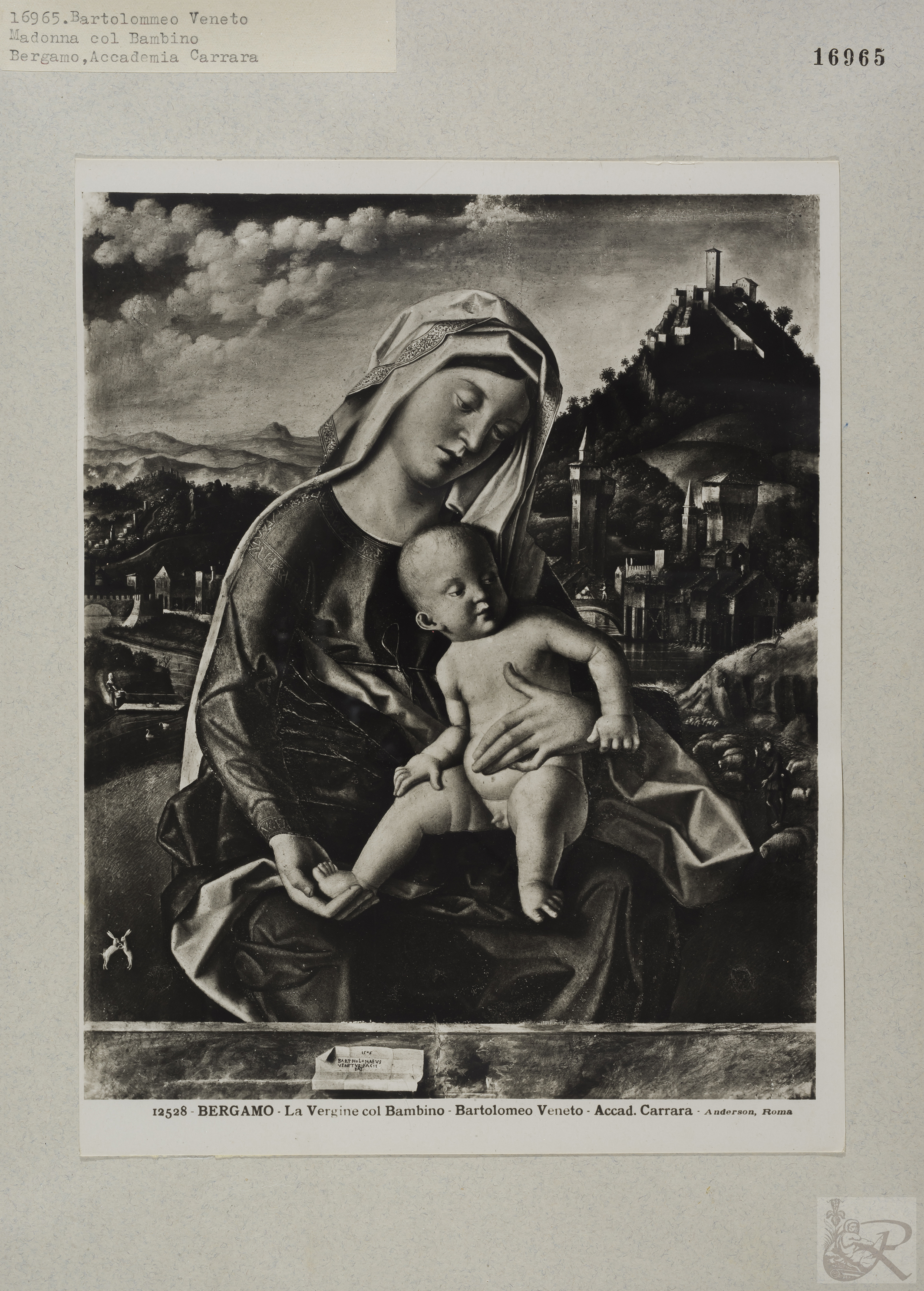 Immagine di anteprima