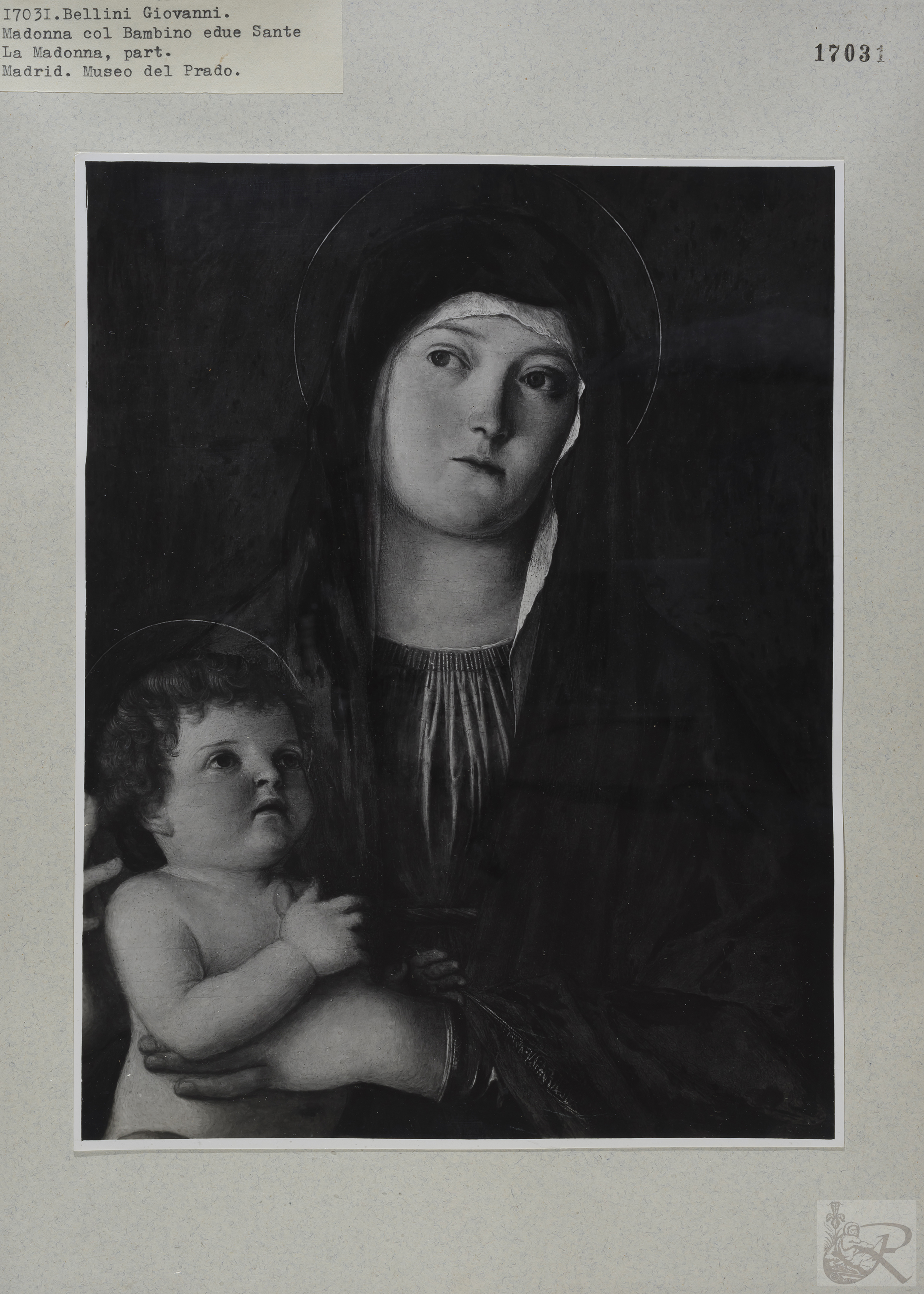 Immagine di anteprima