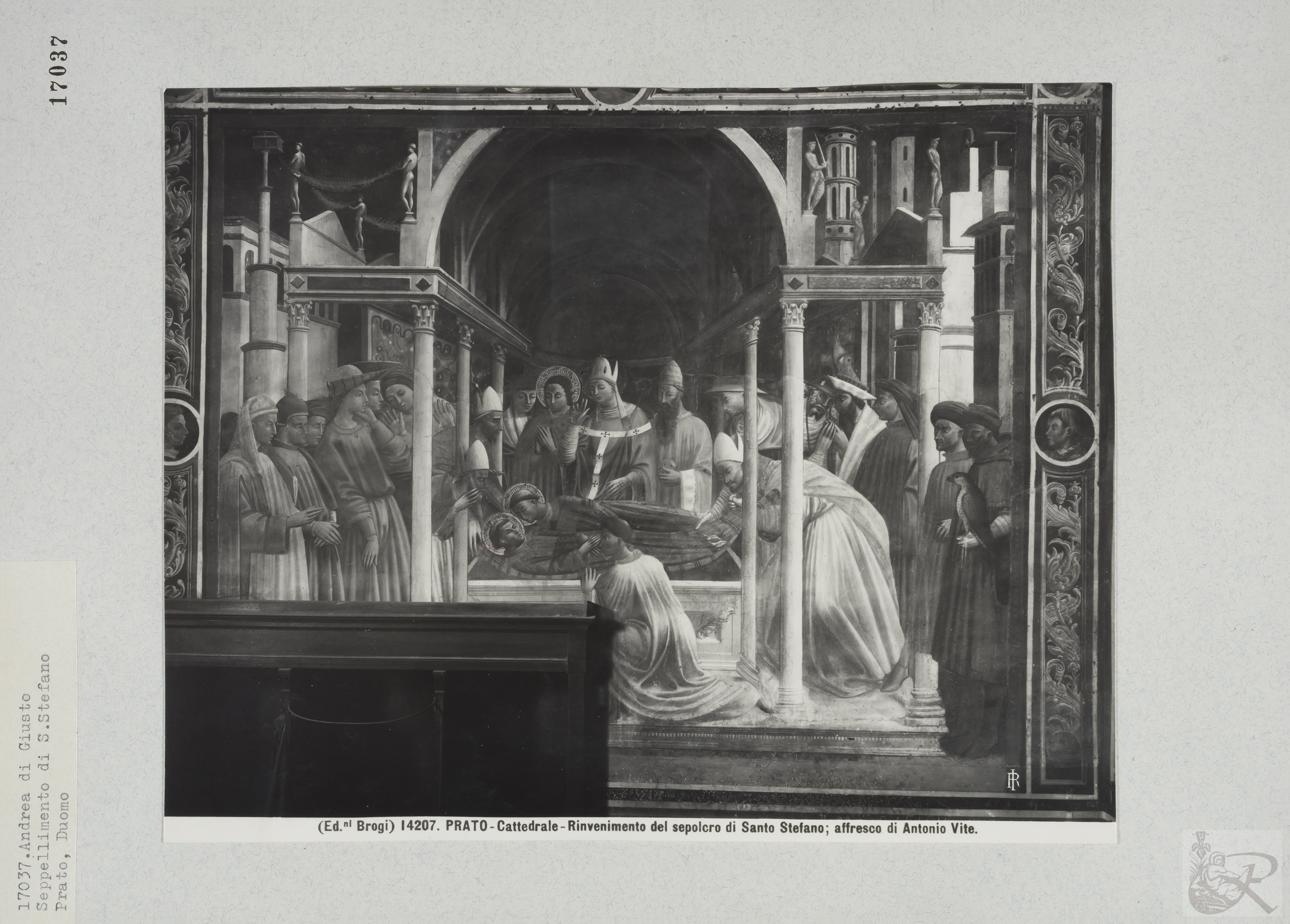 Immagine di anteprima