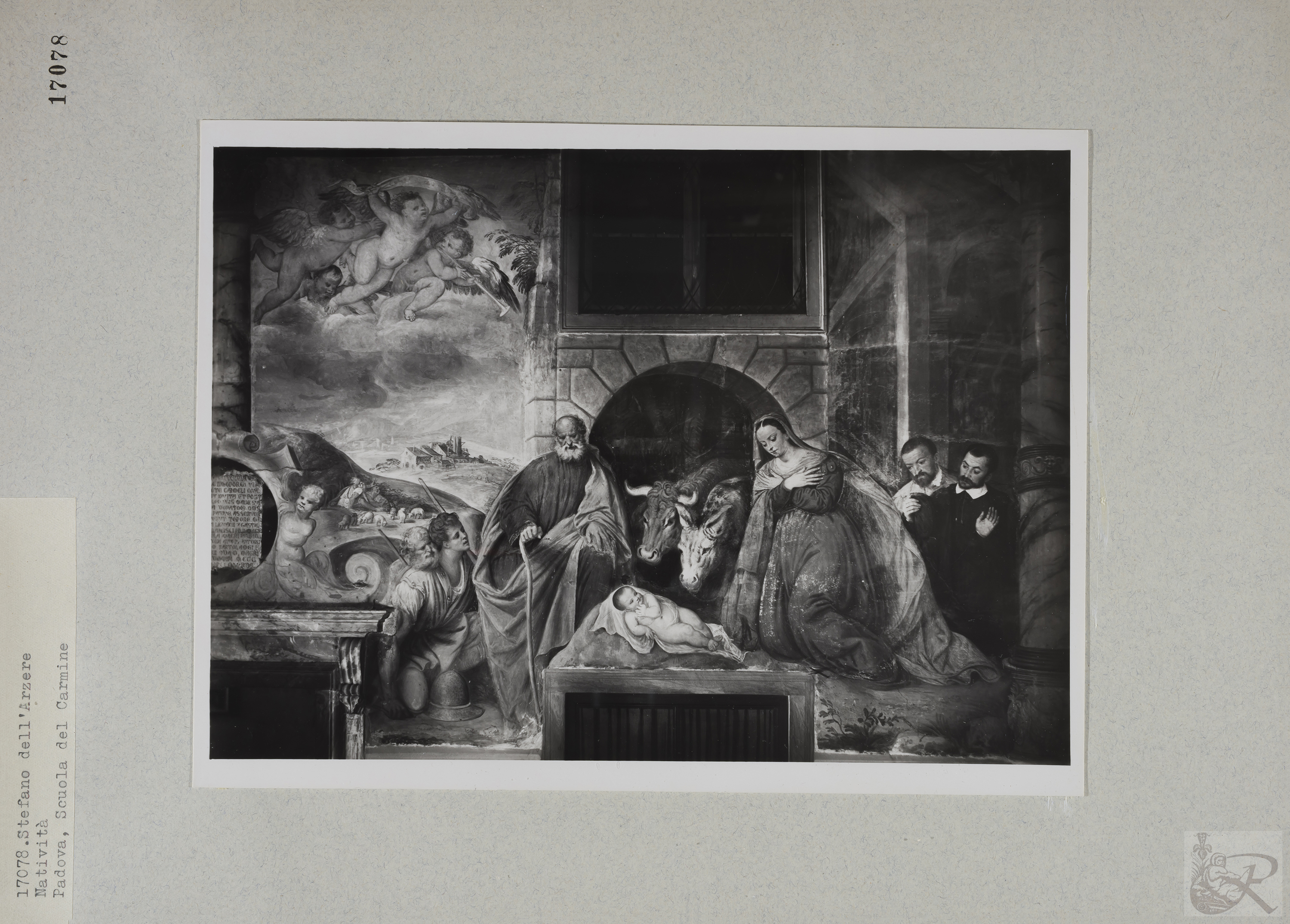 Immagine di anteprima