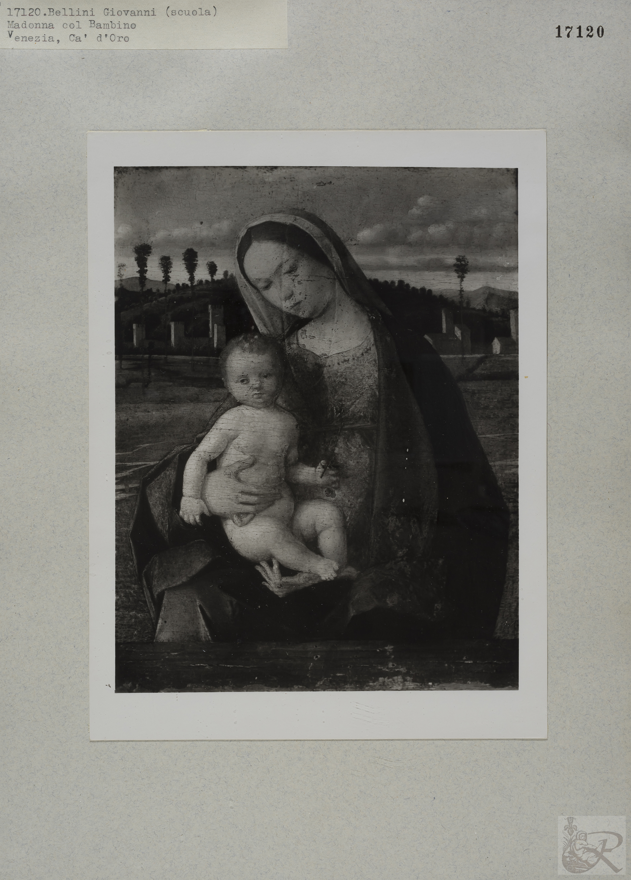 Immagine di anteprima