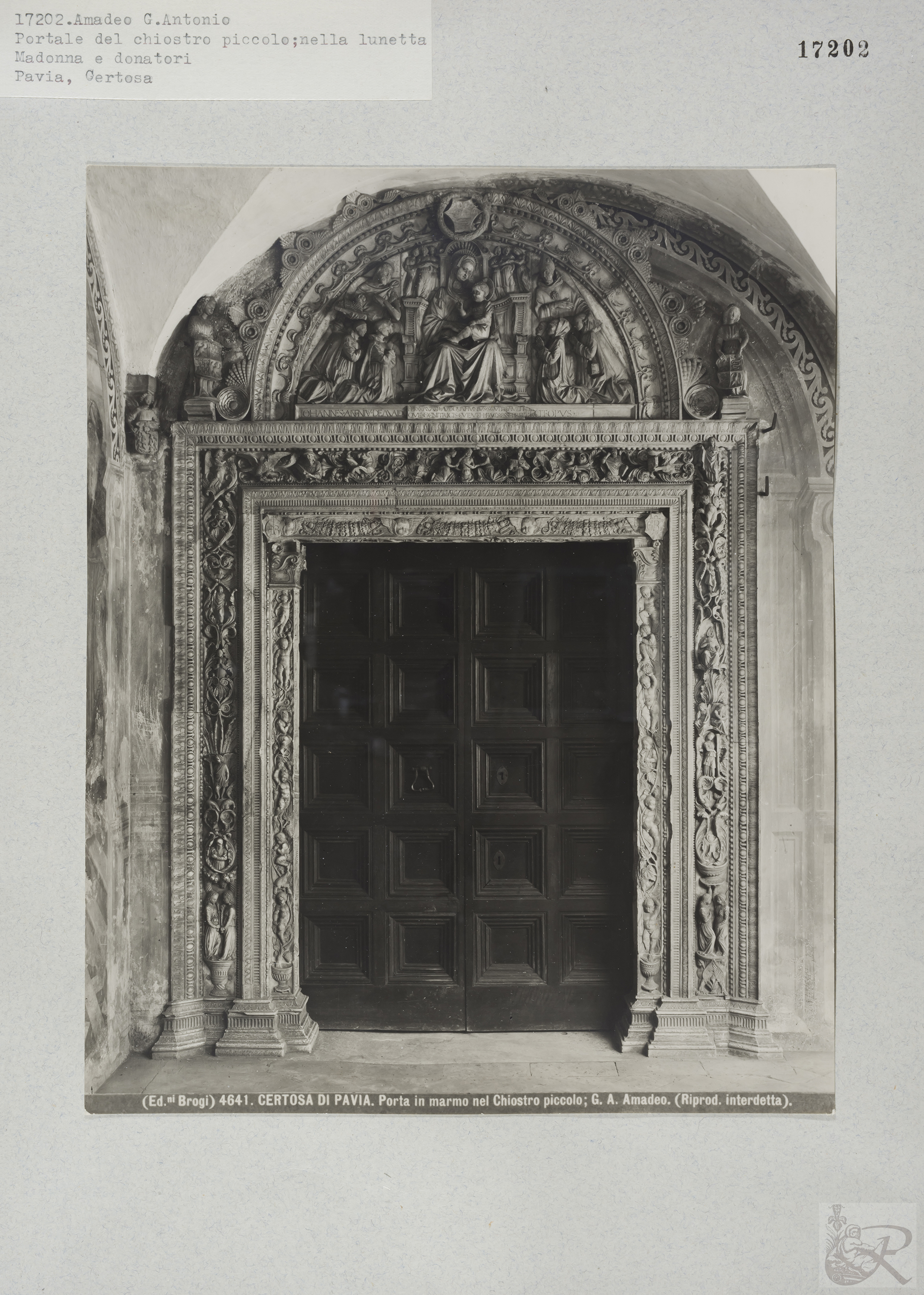 Immagine di anteprima