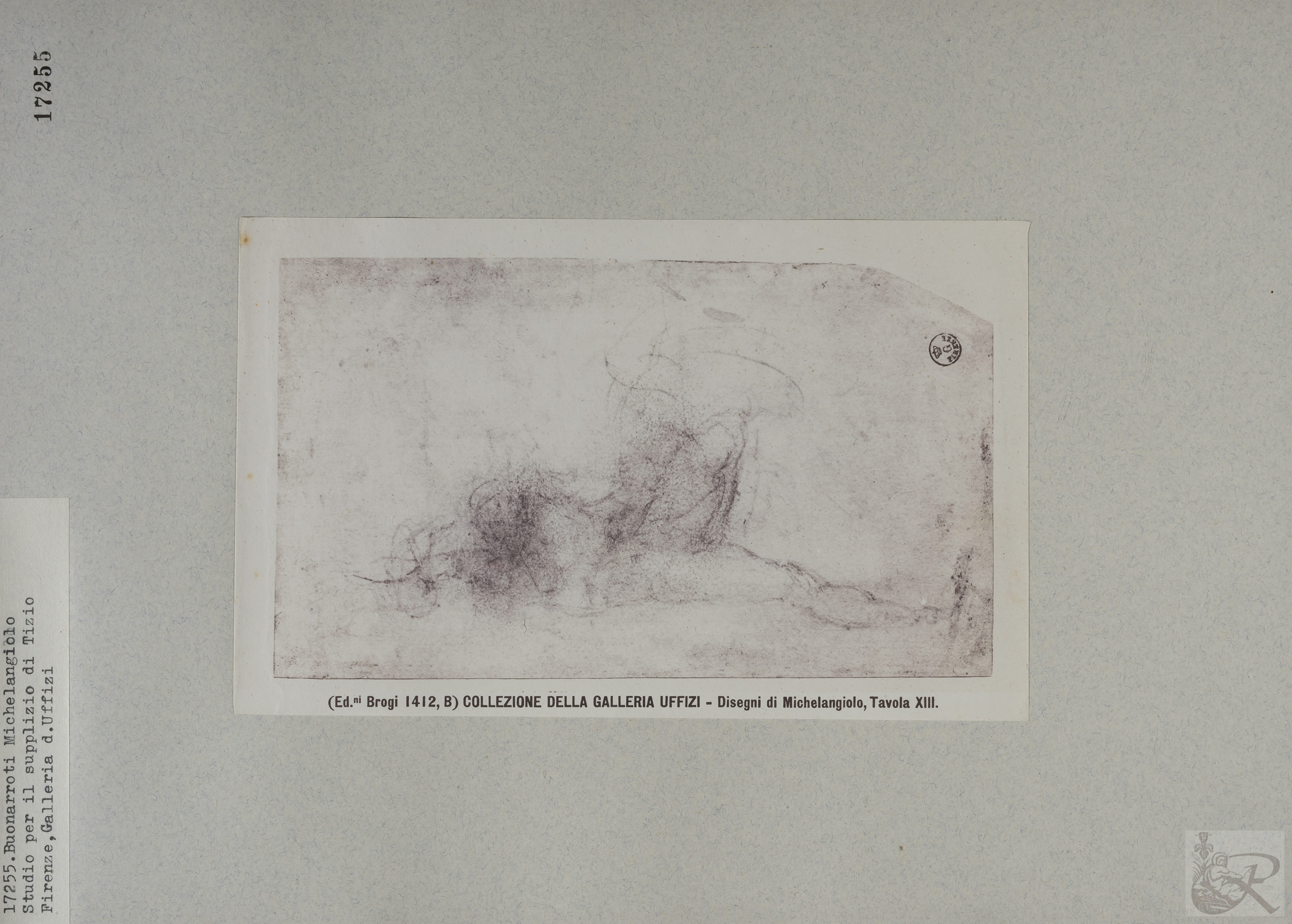 Immagine di anteprima