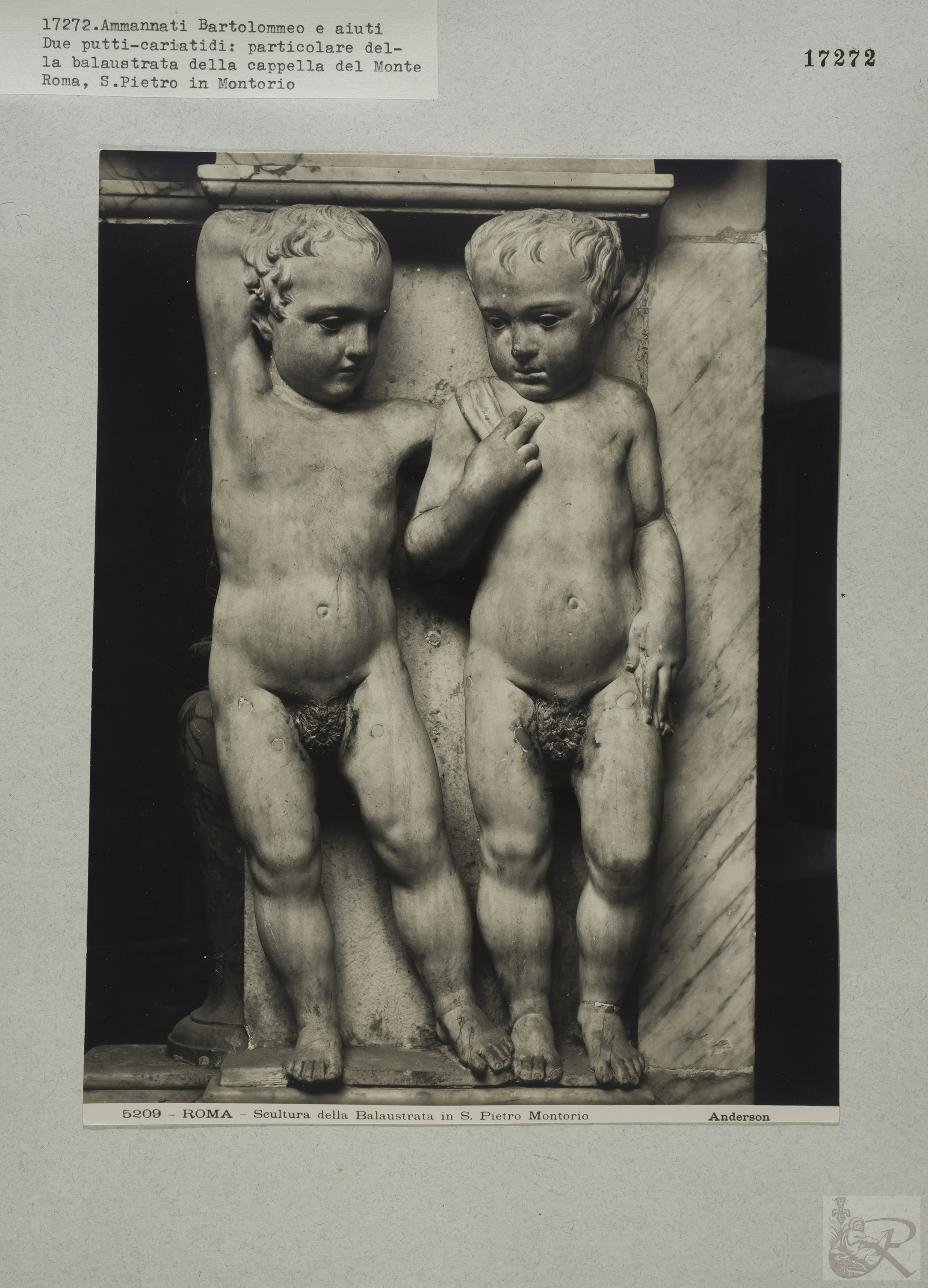 Immagine di anteprima