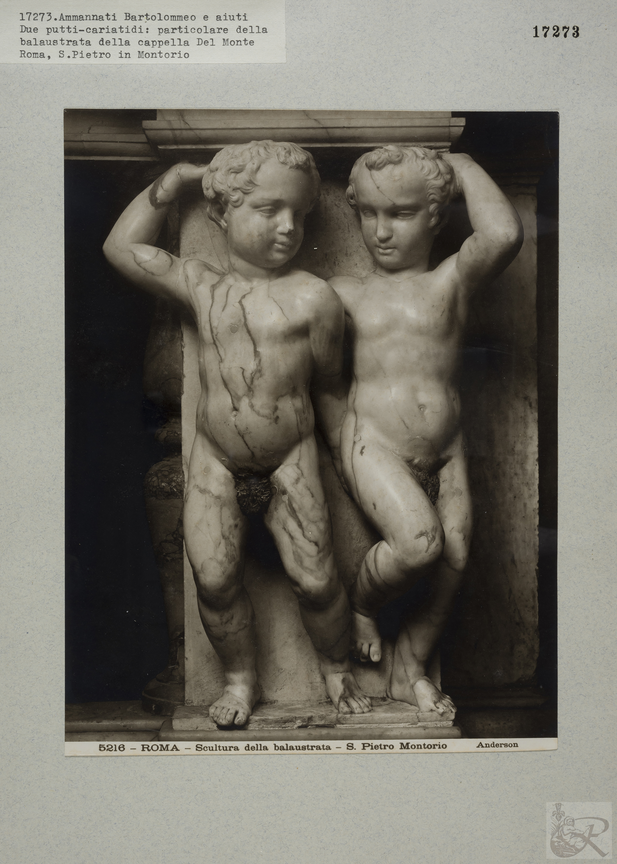 Immagine di anteprima