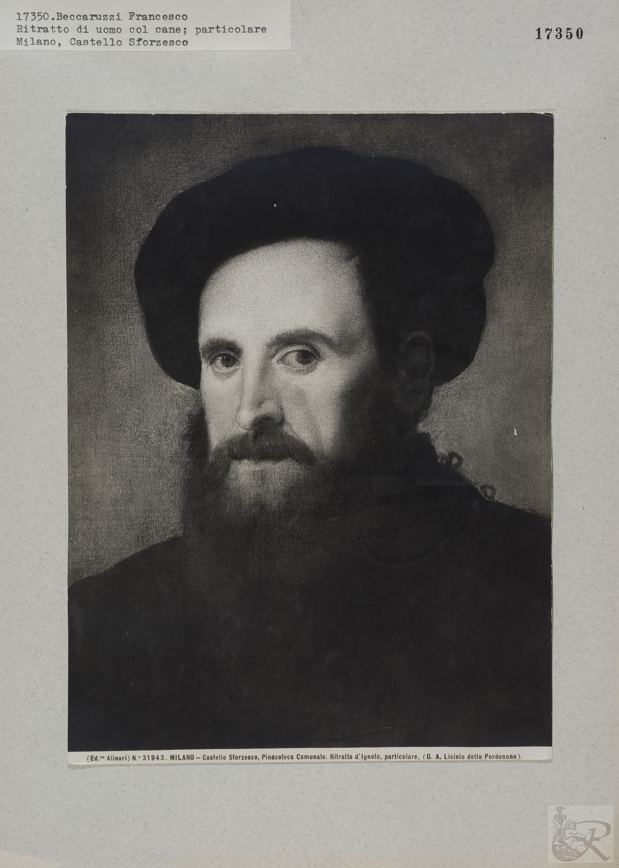 Immagine di anteprima