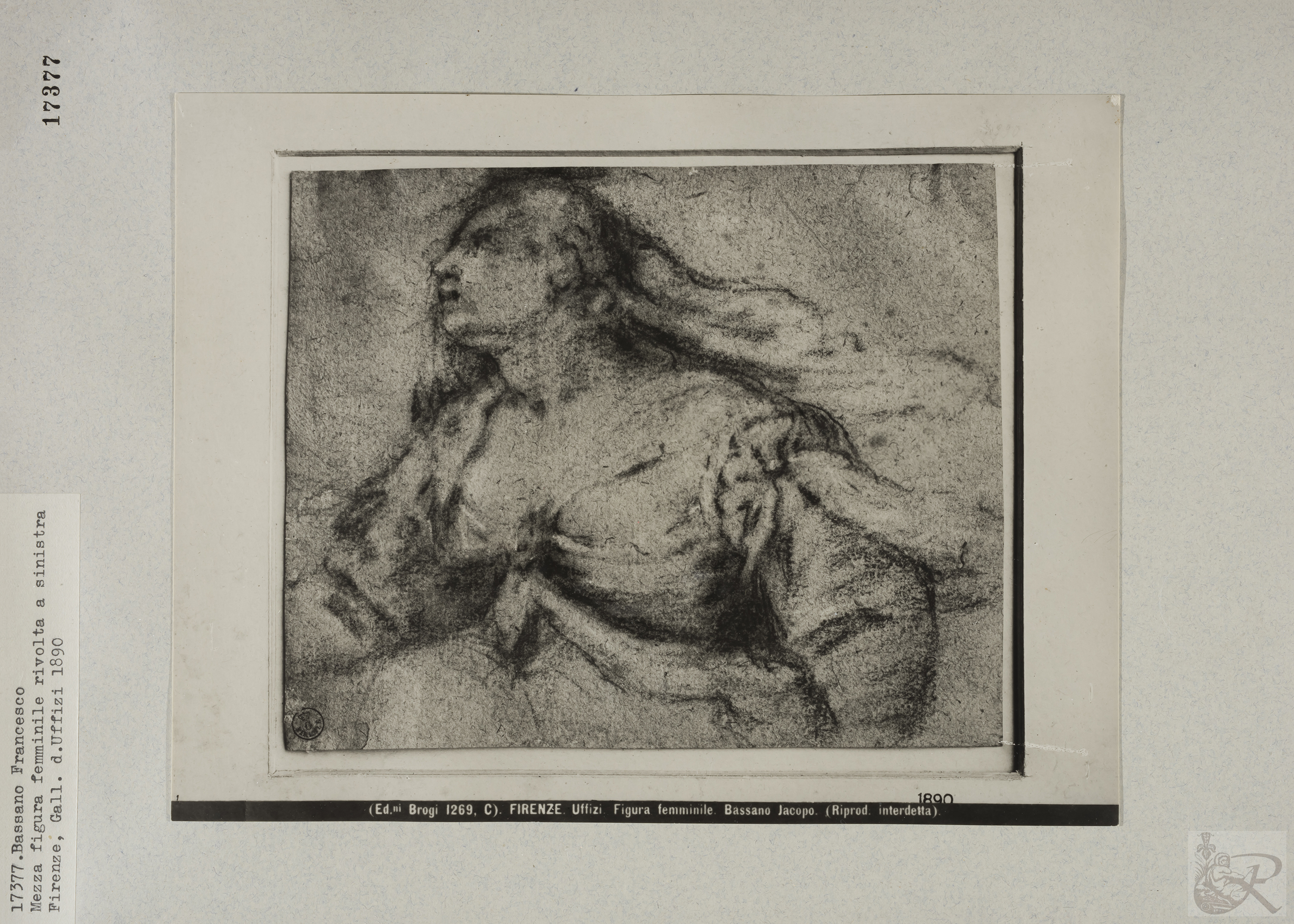 Immagine di anteprima