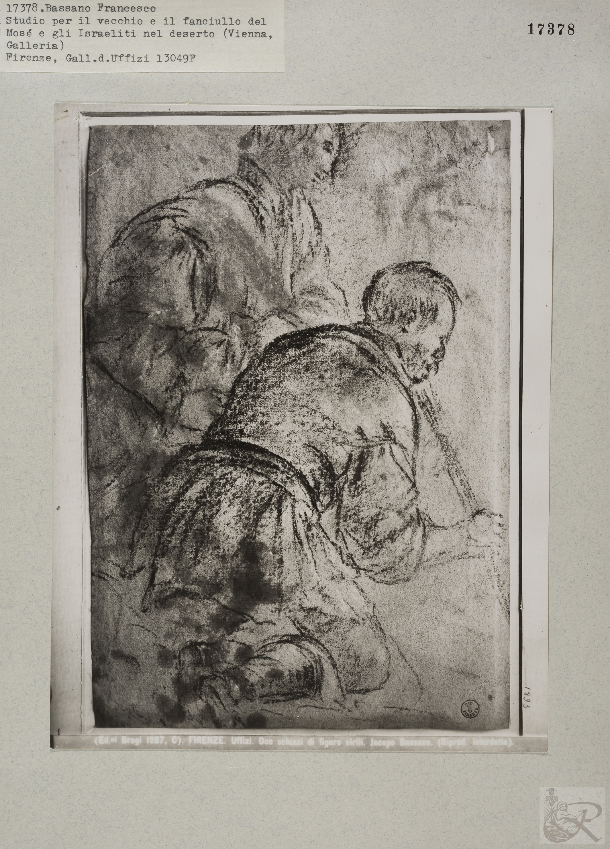 Immagine di anteprima