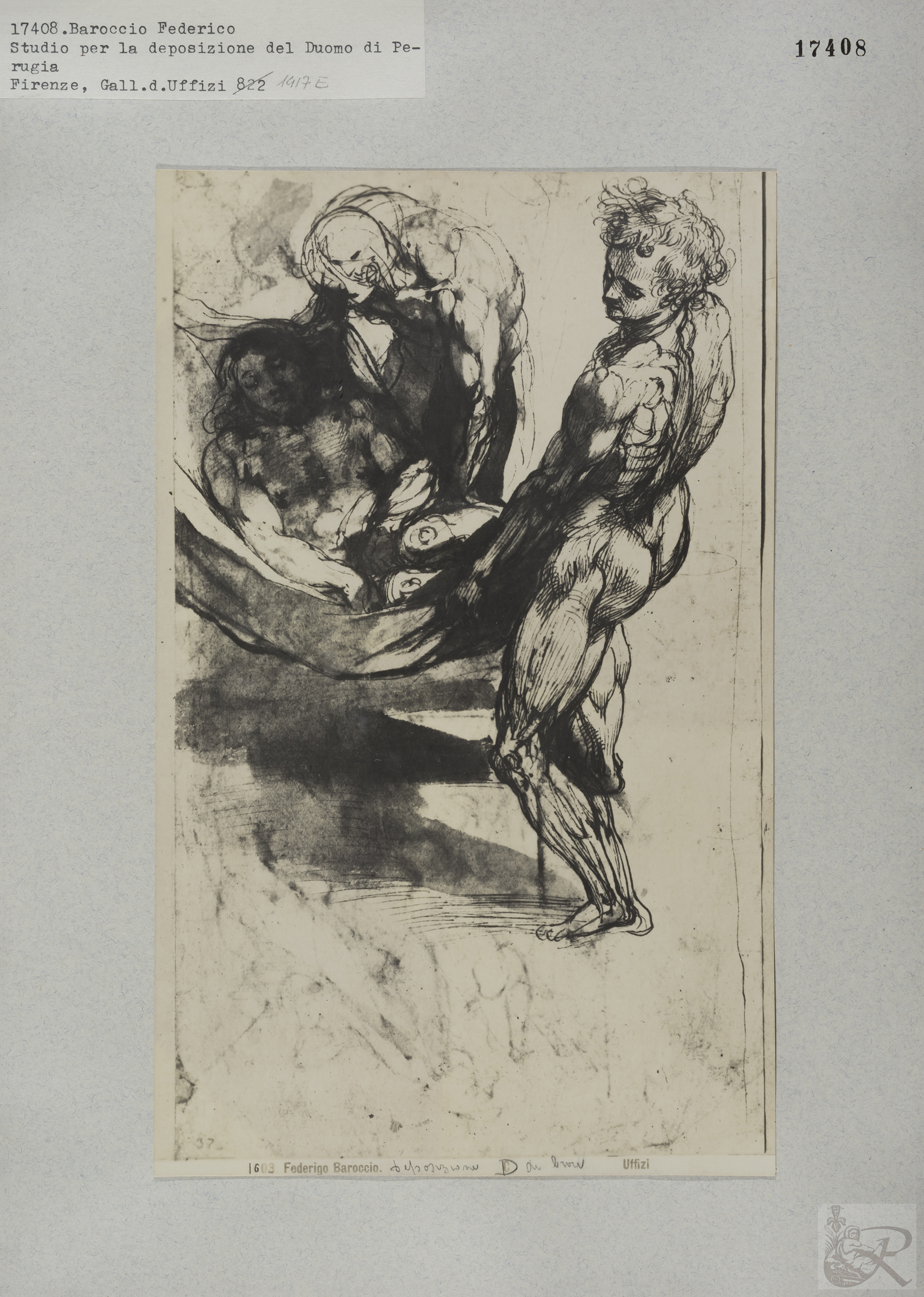 Immagine di anteprima