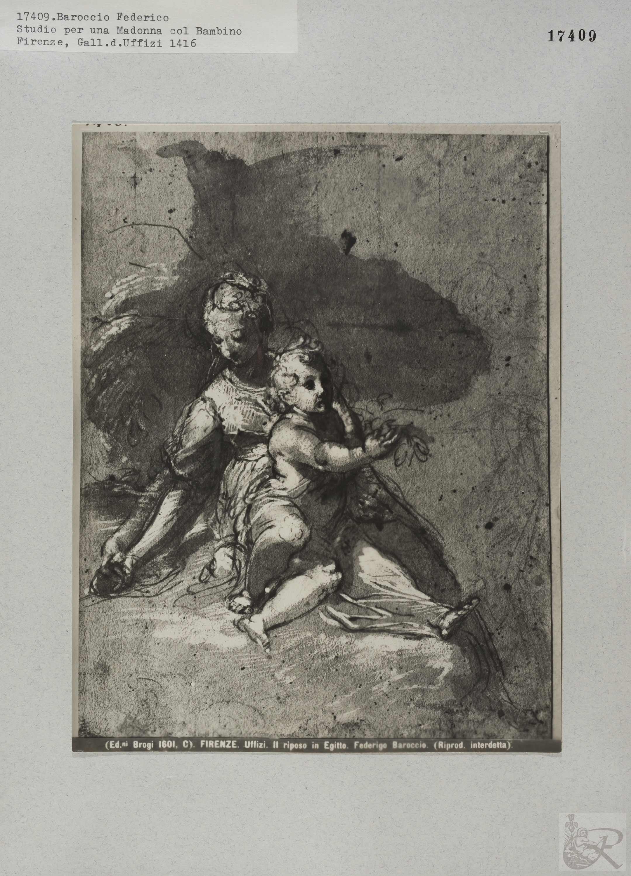 Immagine di anteprima