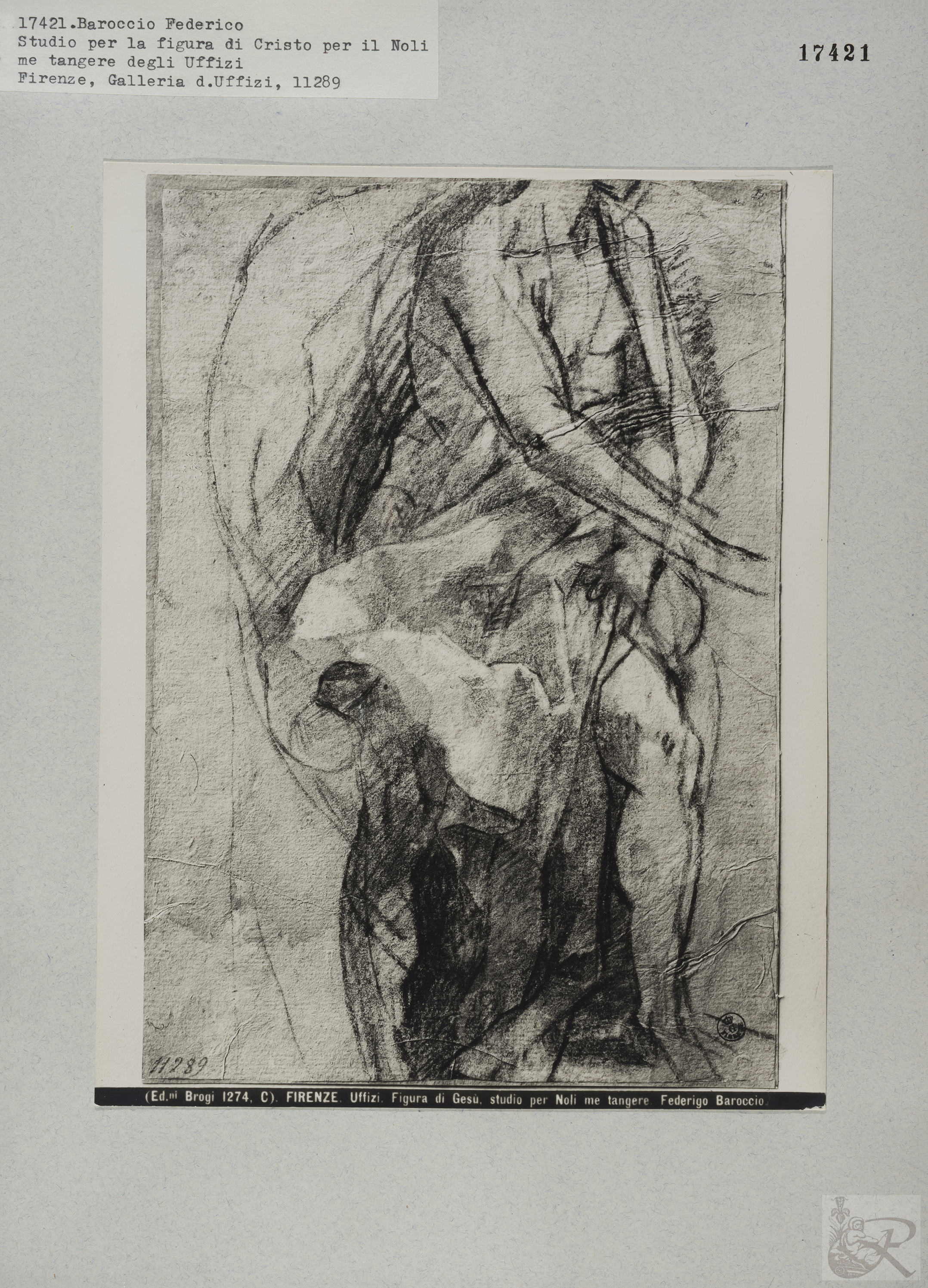 Immagine di anteprima