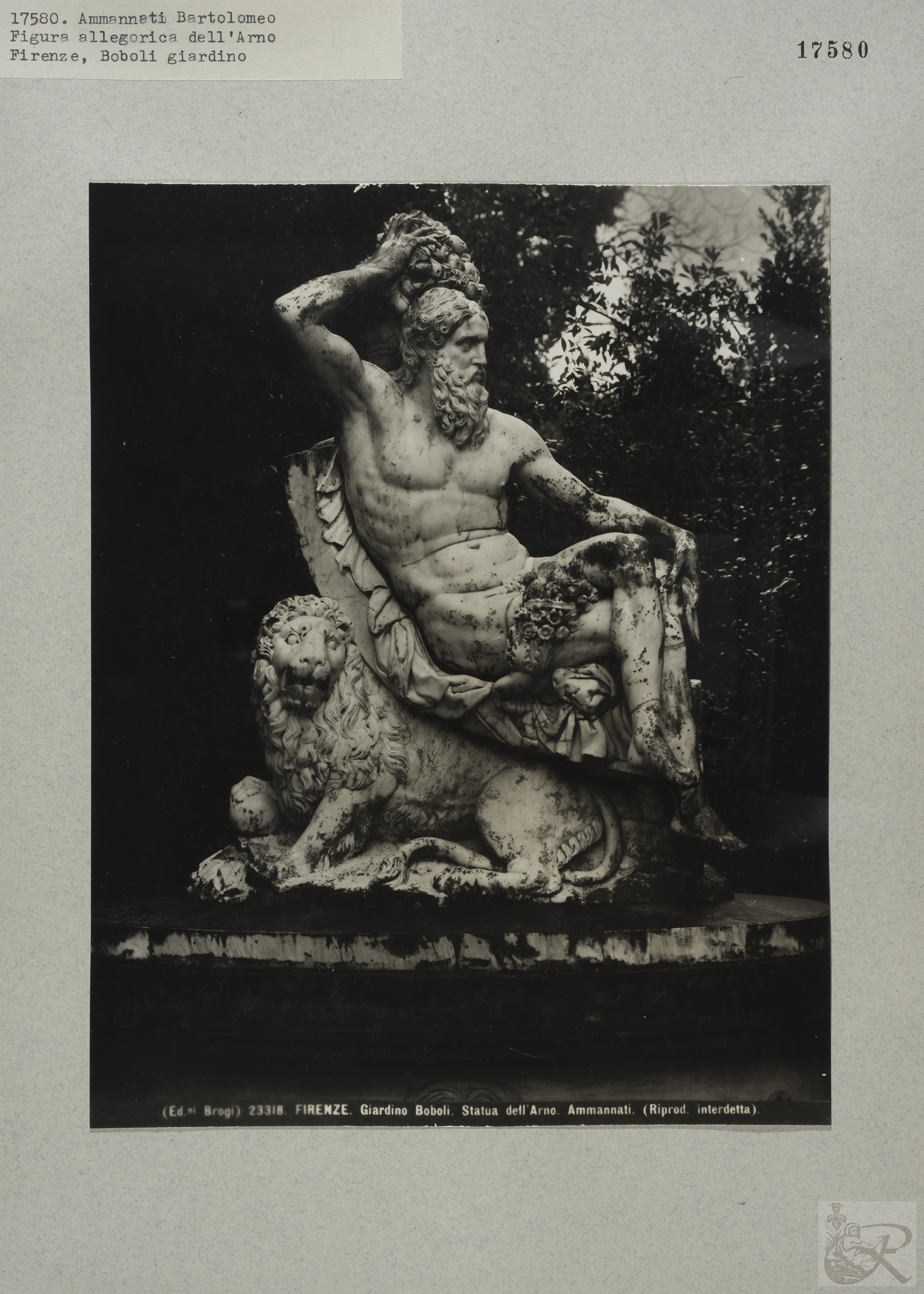 Immagine di anteprima