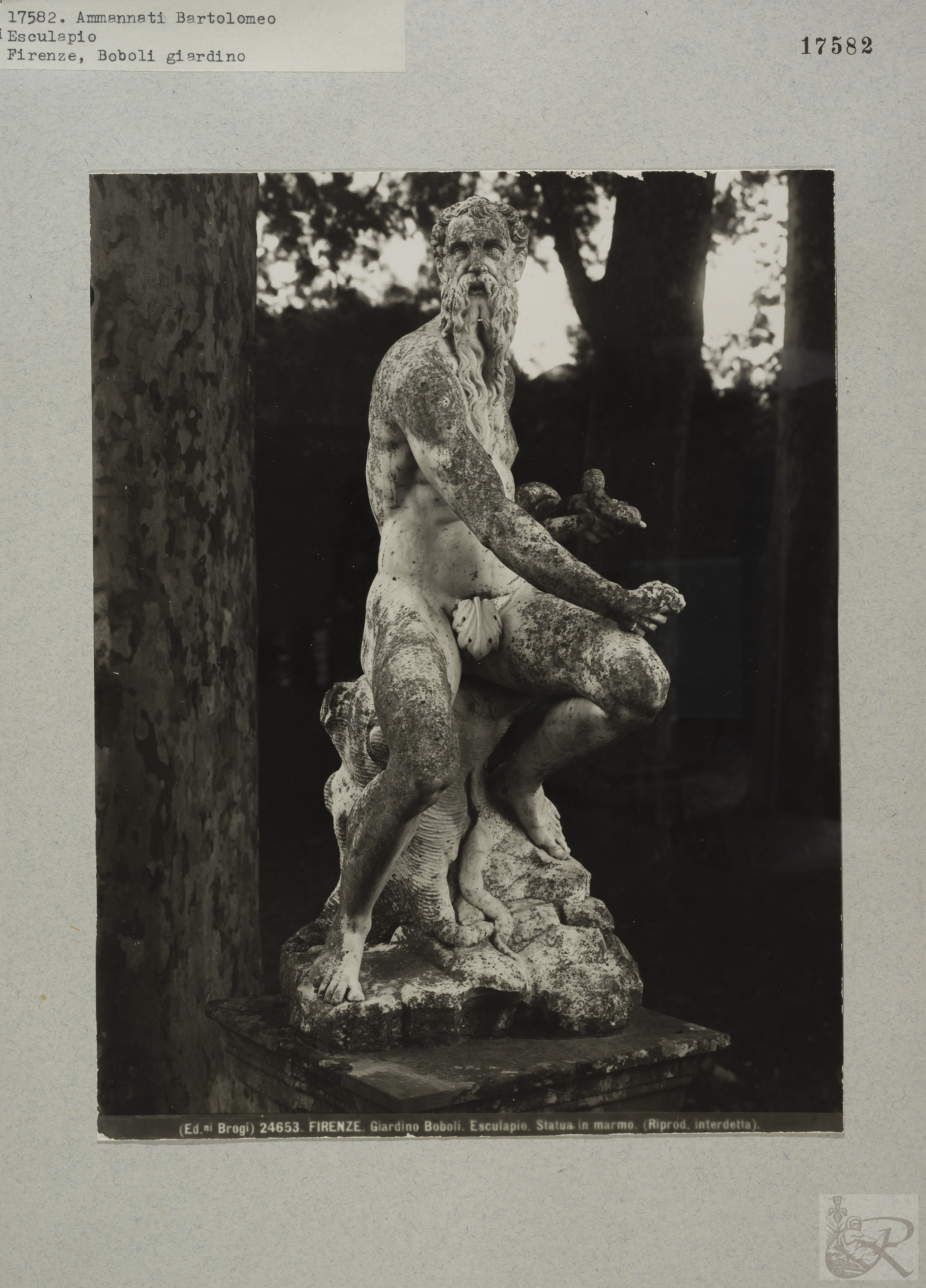 Immagine di anteprima