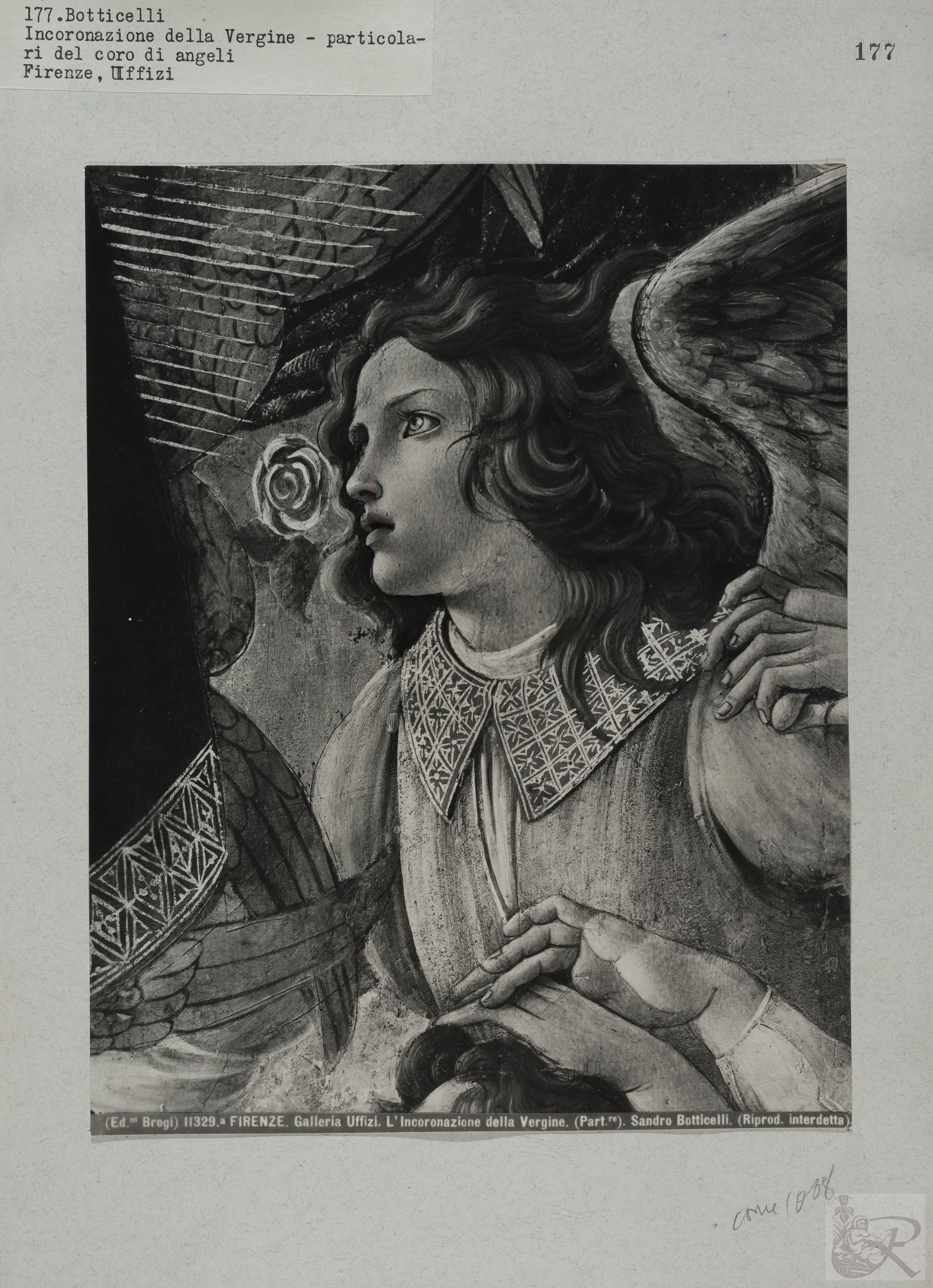 Immagine di anteprima