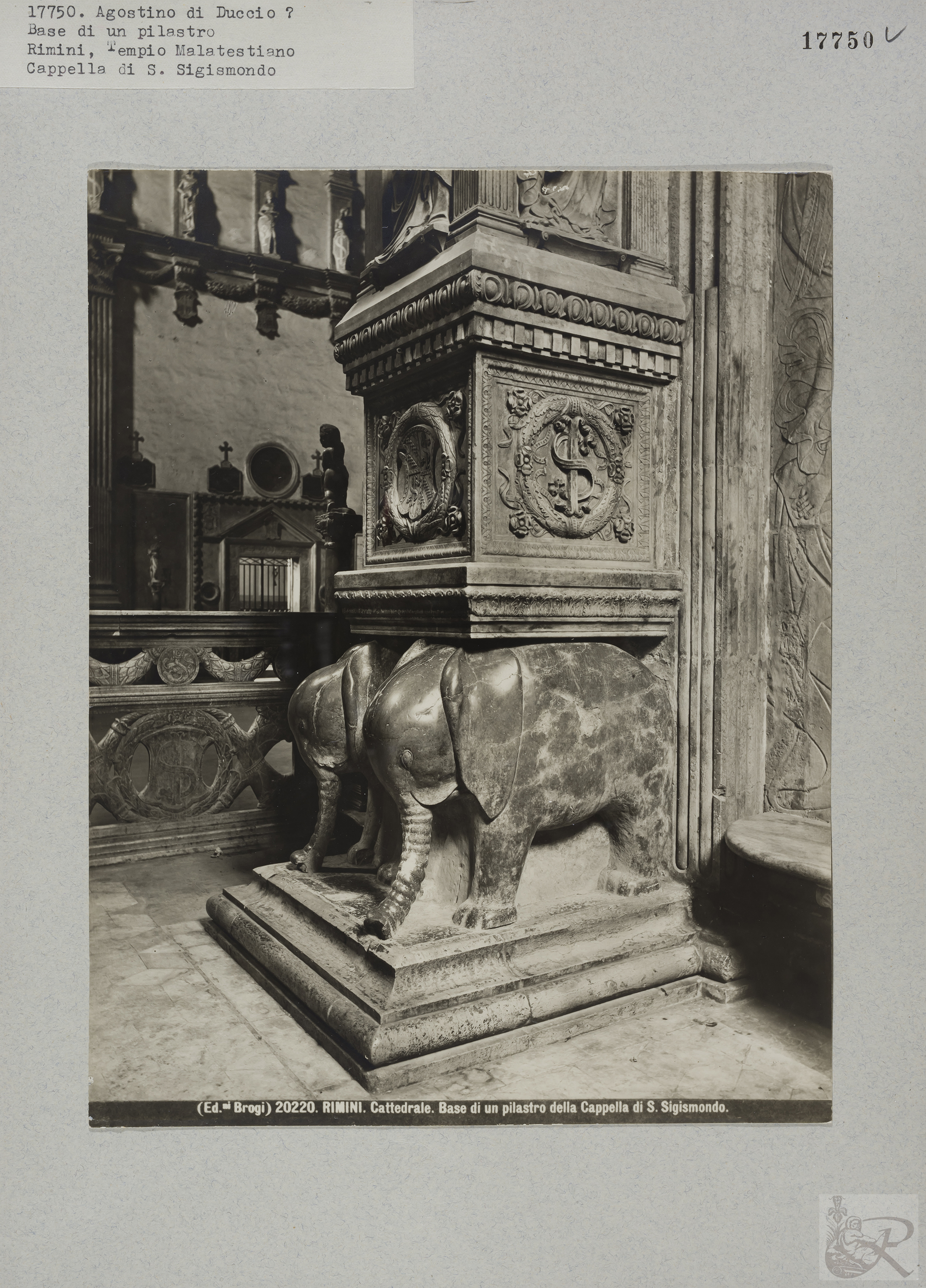 Immagine di anteprima