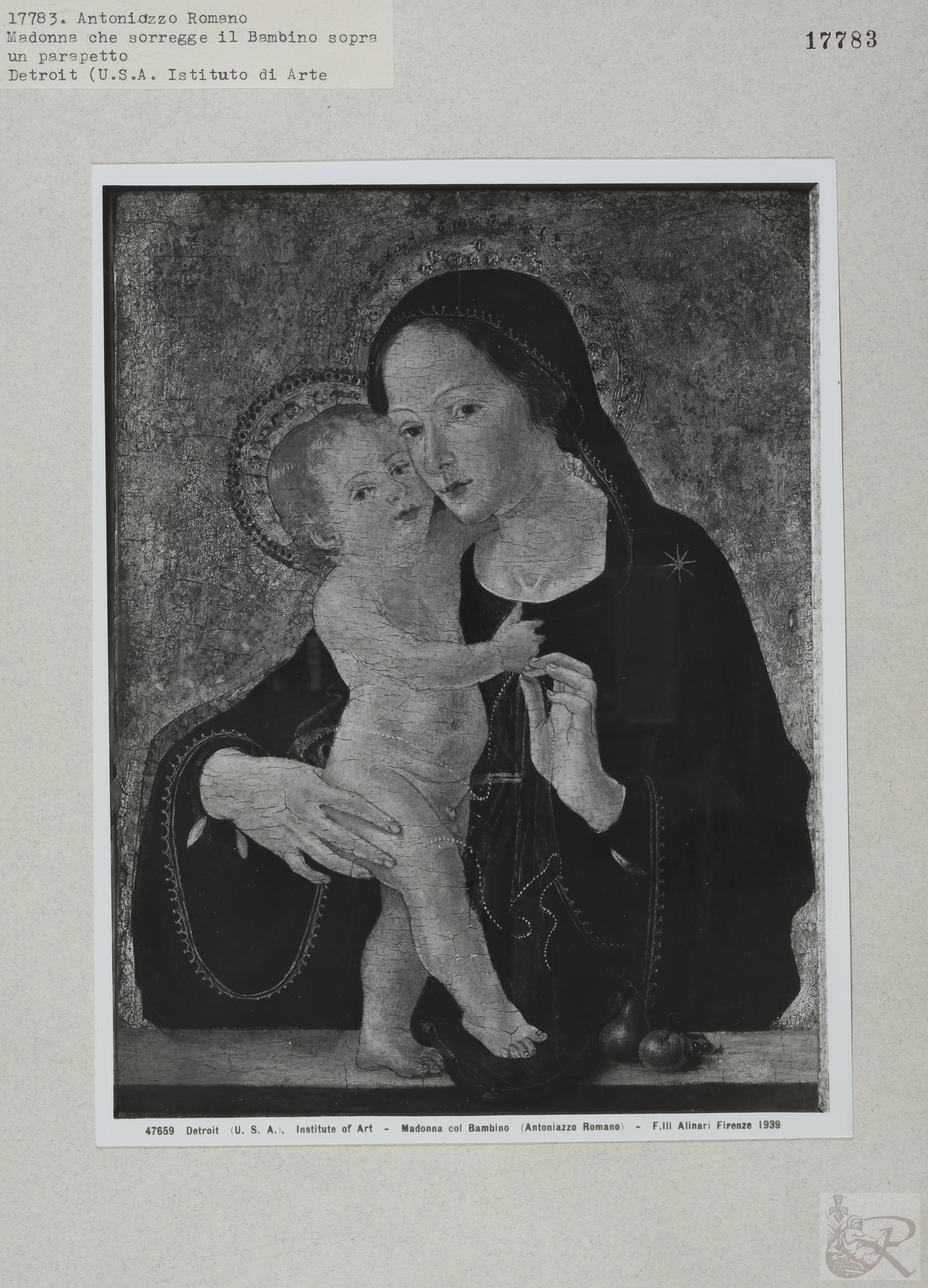 Immagine di anteprima