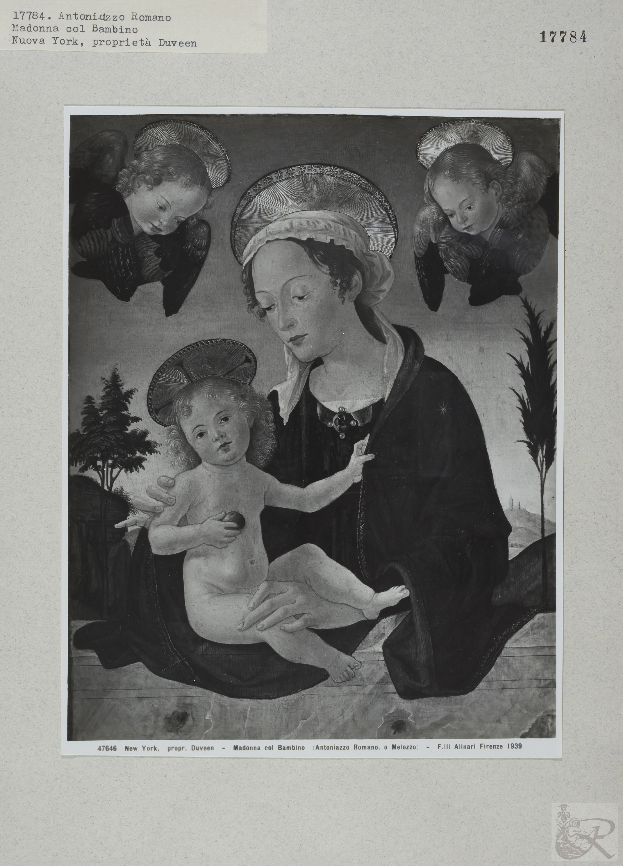 Immagine di anteprima