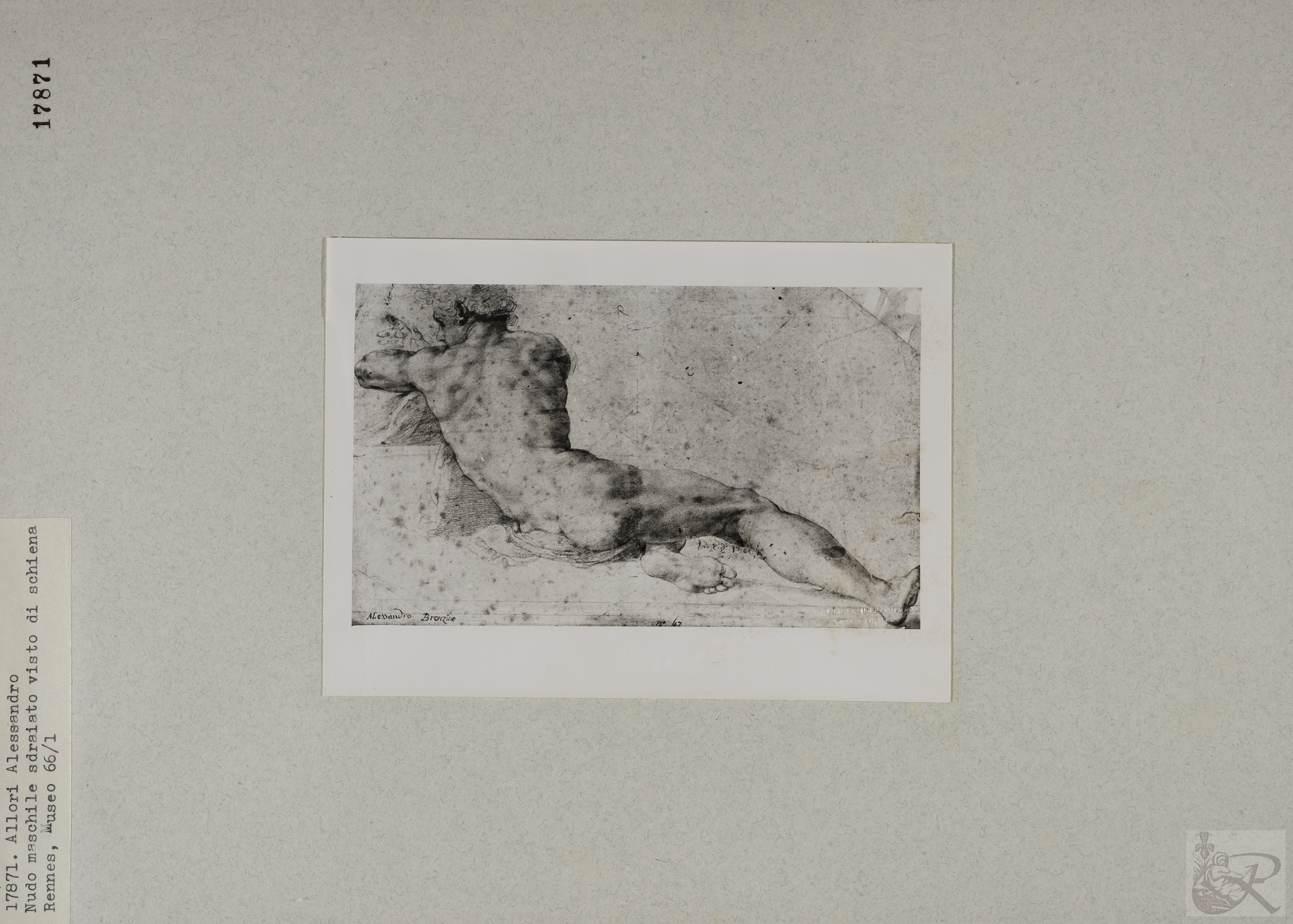 Immagine di anteprima