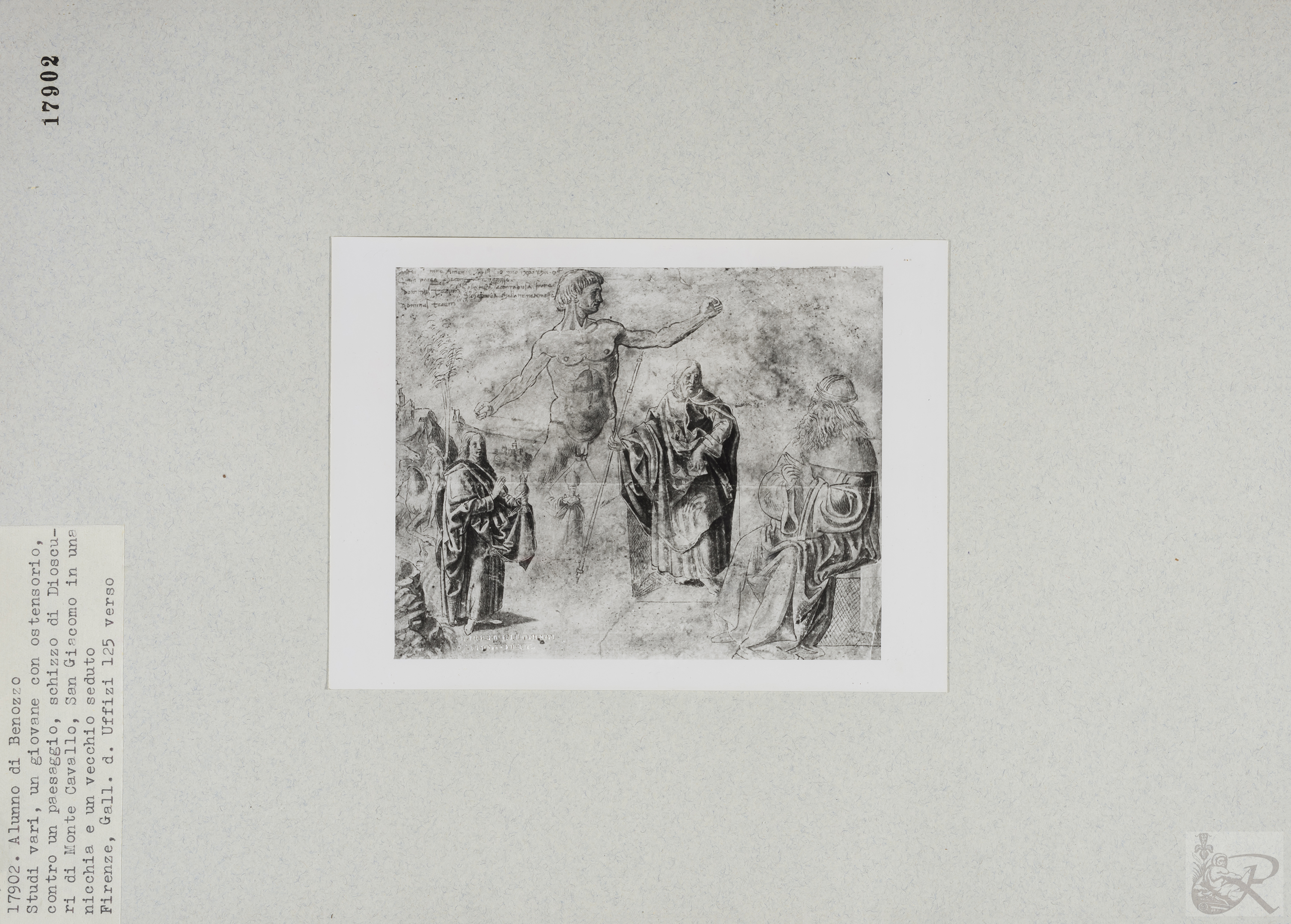 Immagine di anteprima