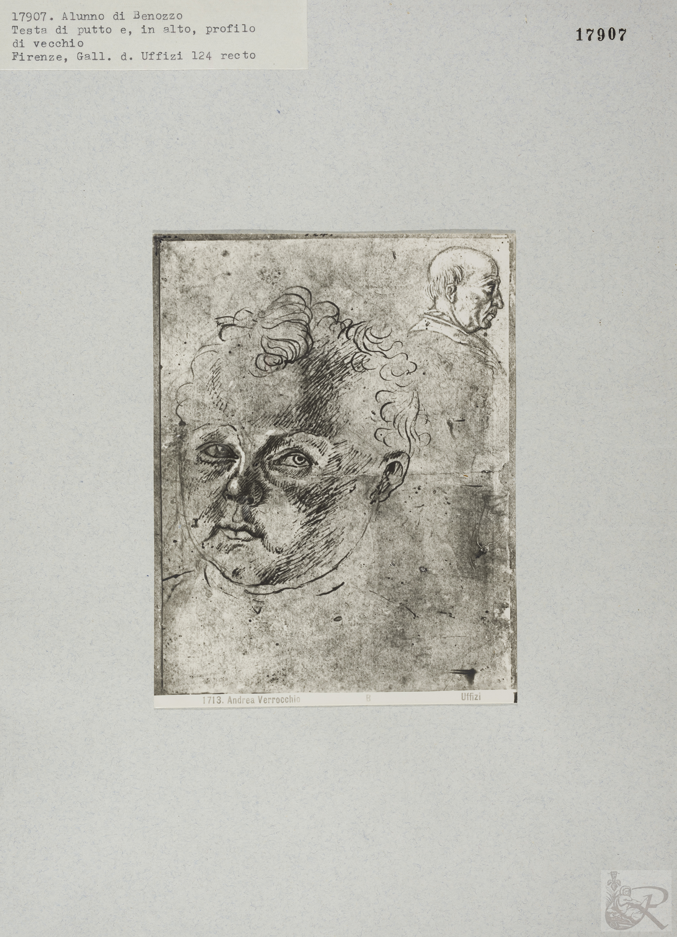 Immagine di anteprima