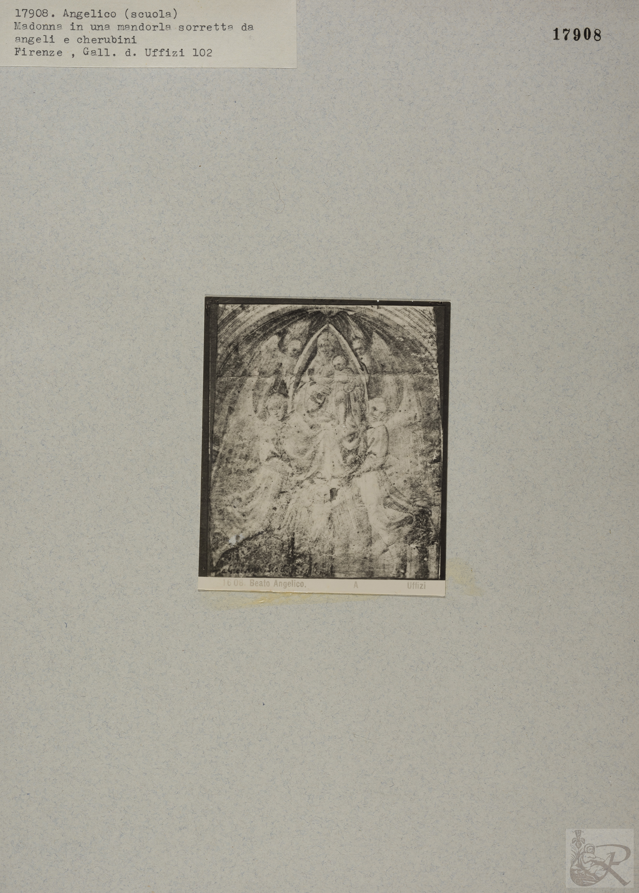 Immagine di anteprima