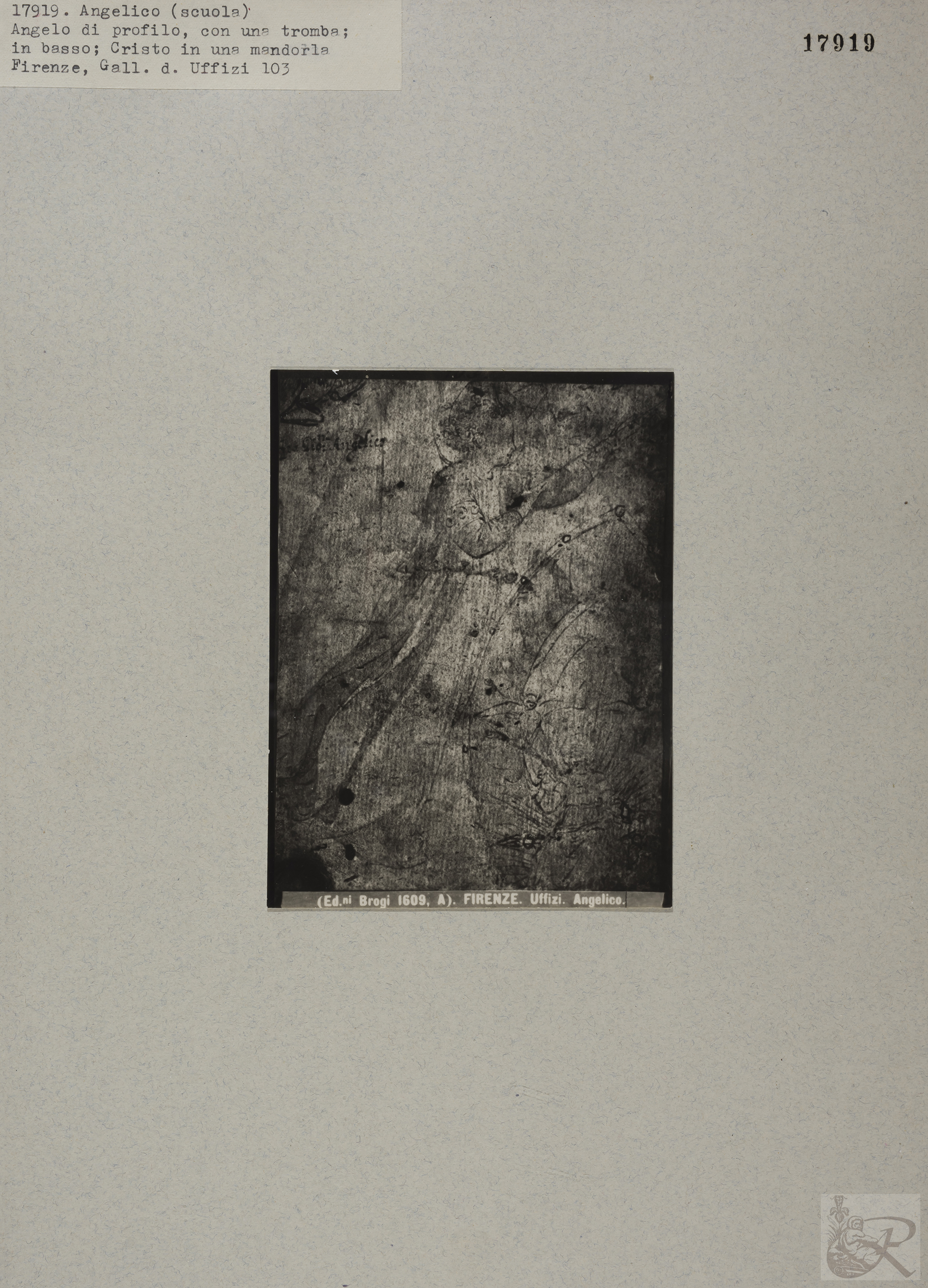 Immagine di anteprima