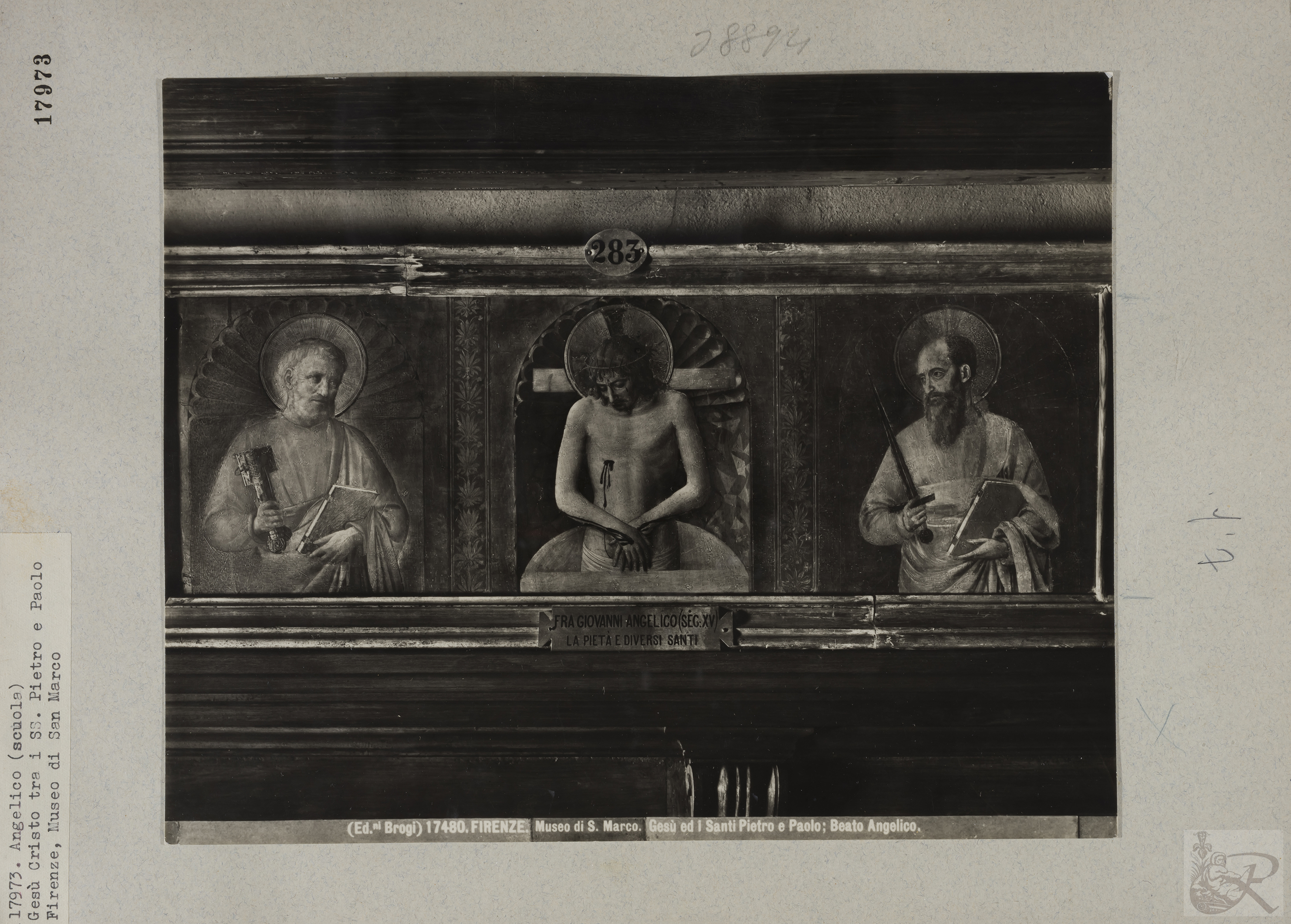 Immagine di anteprima