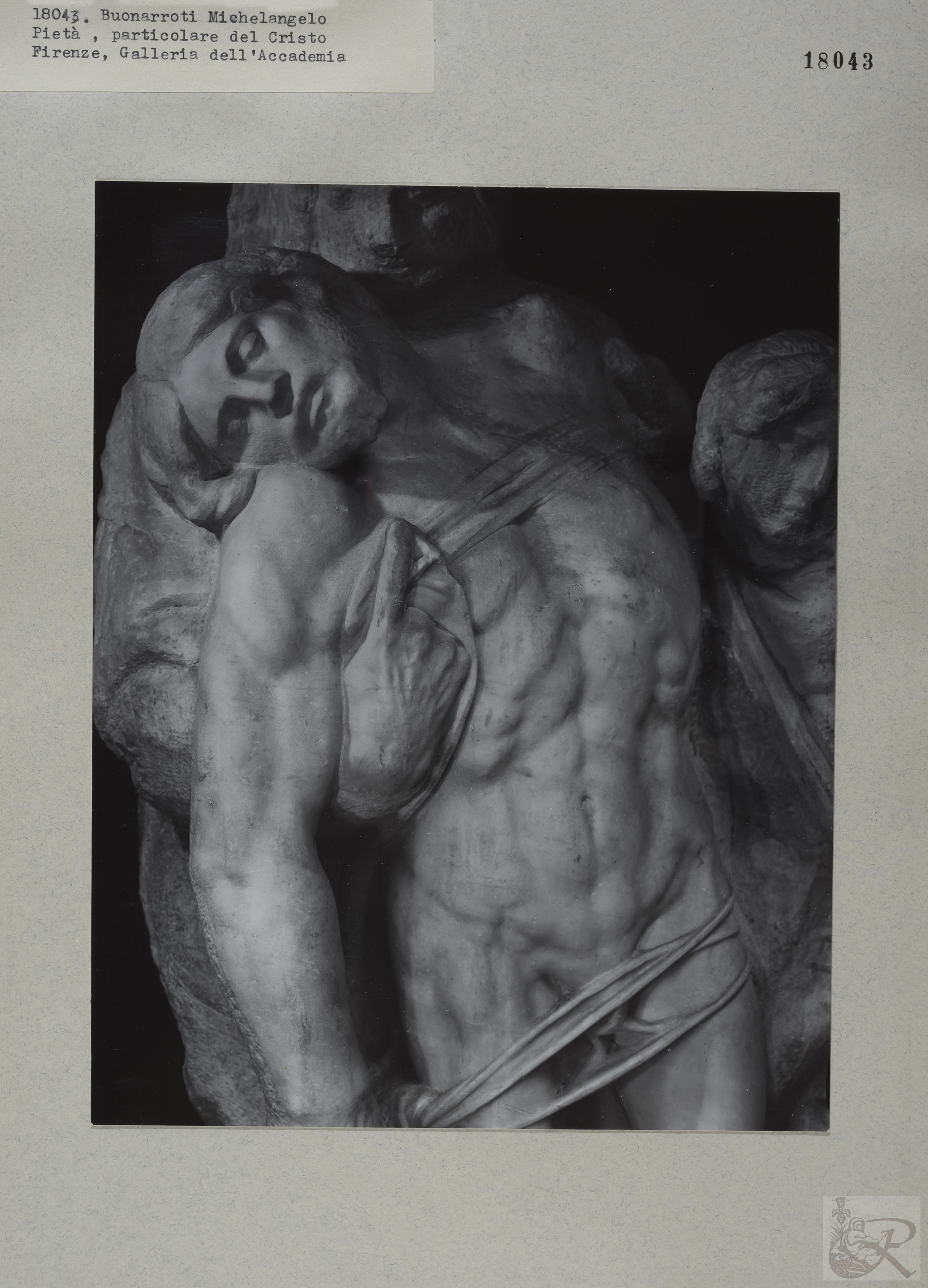 Immagine di anteprima