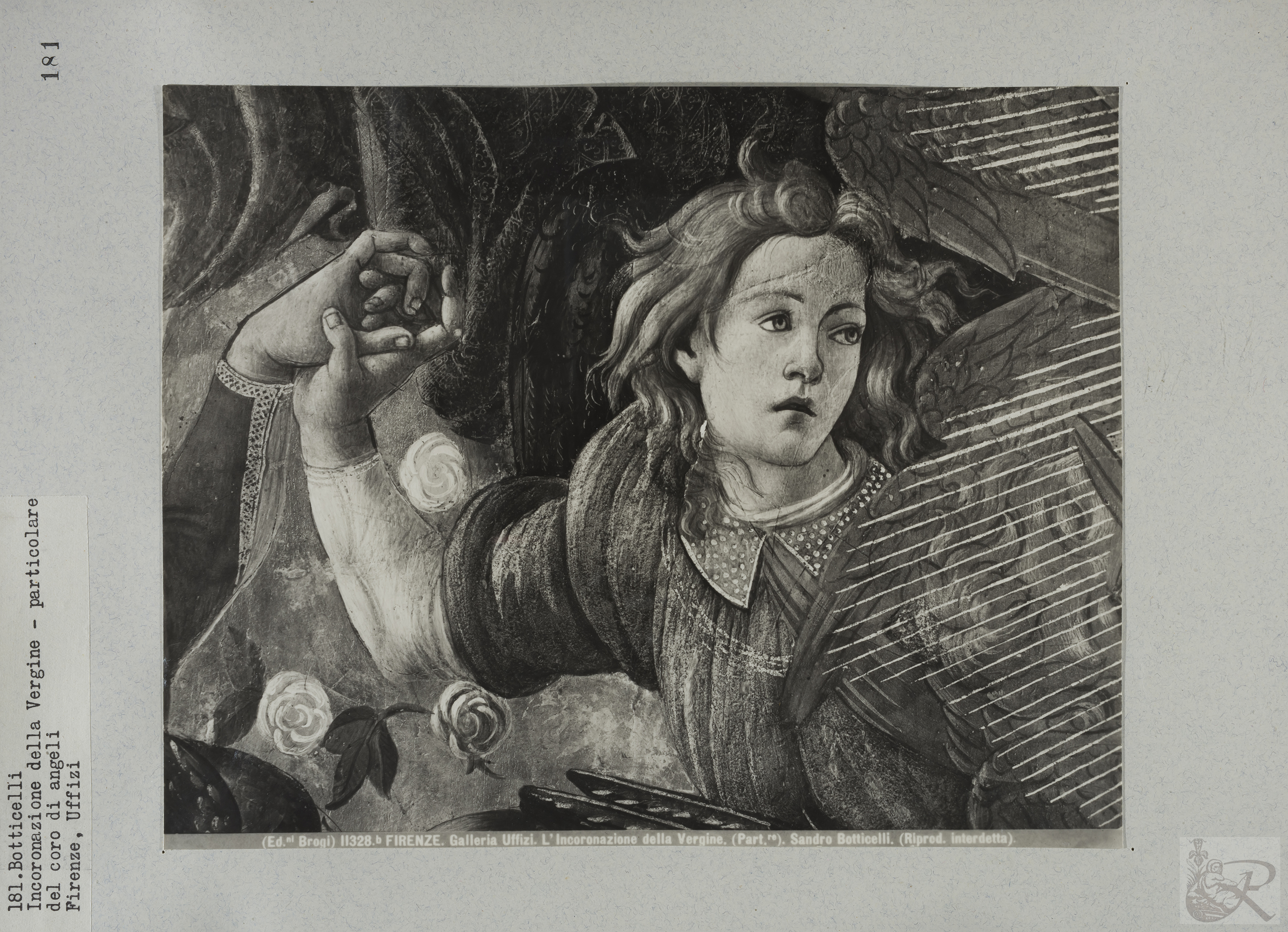 Immagine di anteprima