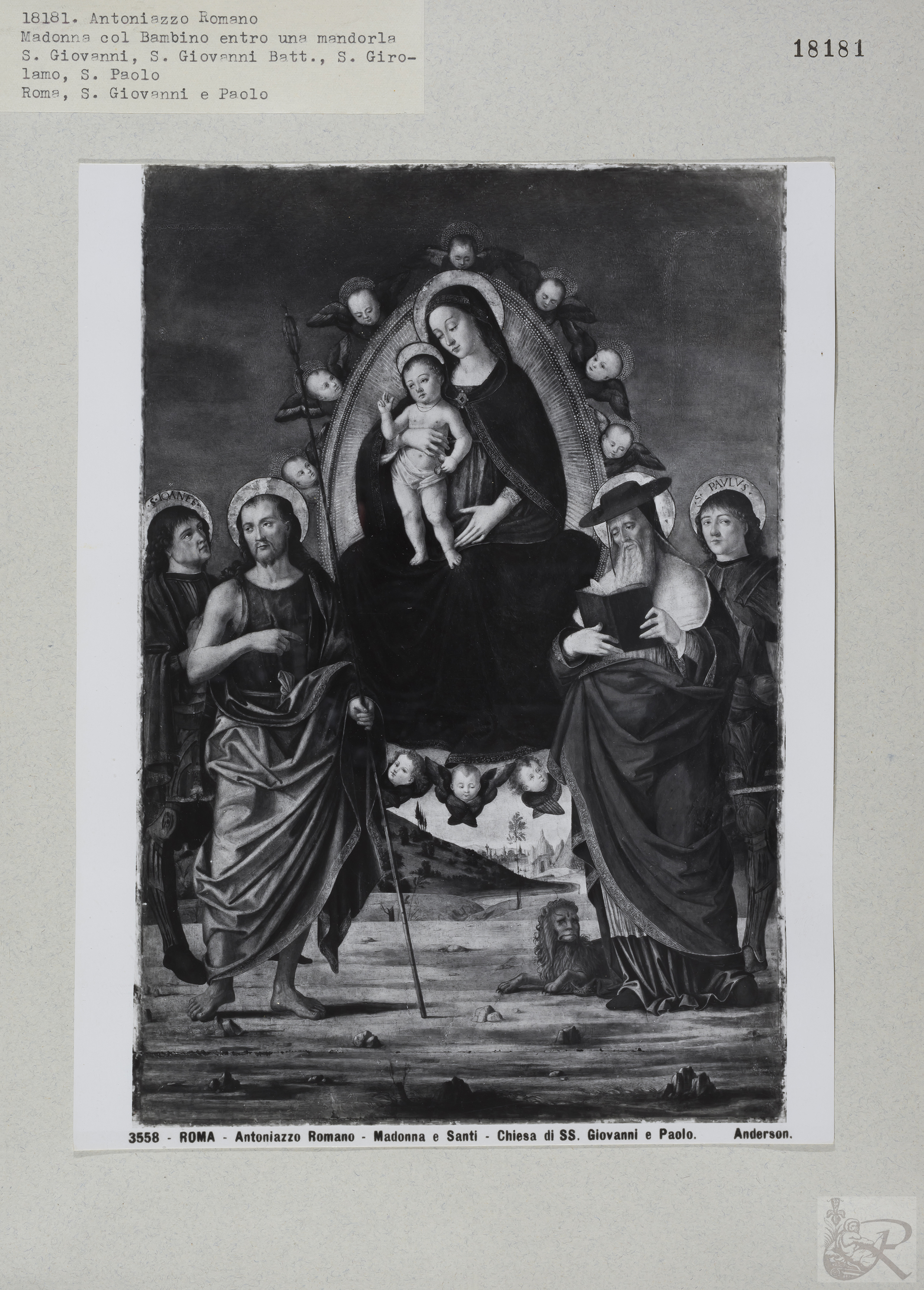 Immagine di anteprima