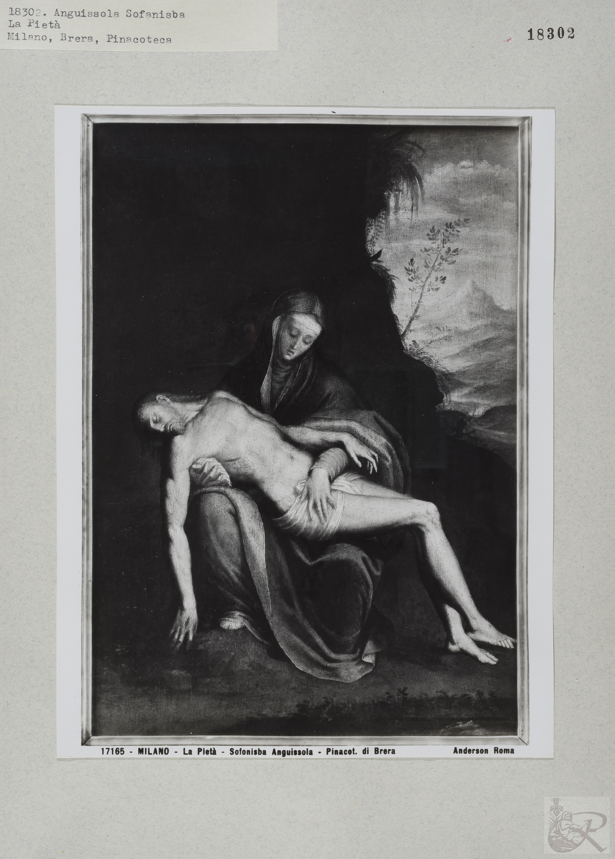 Immagine di anteprima