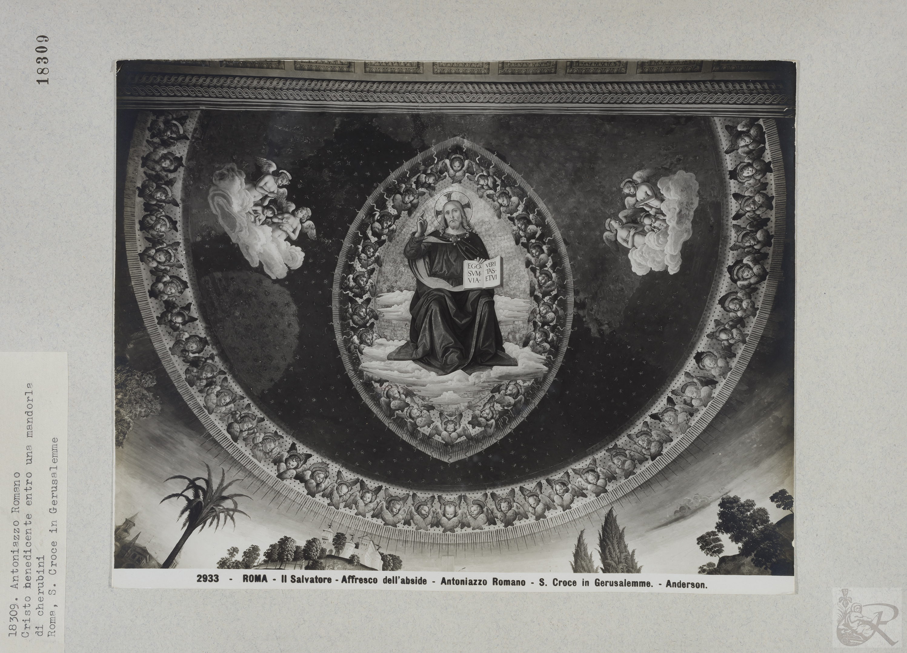 Immagine di anteprima