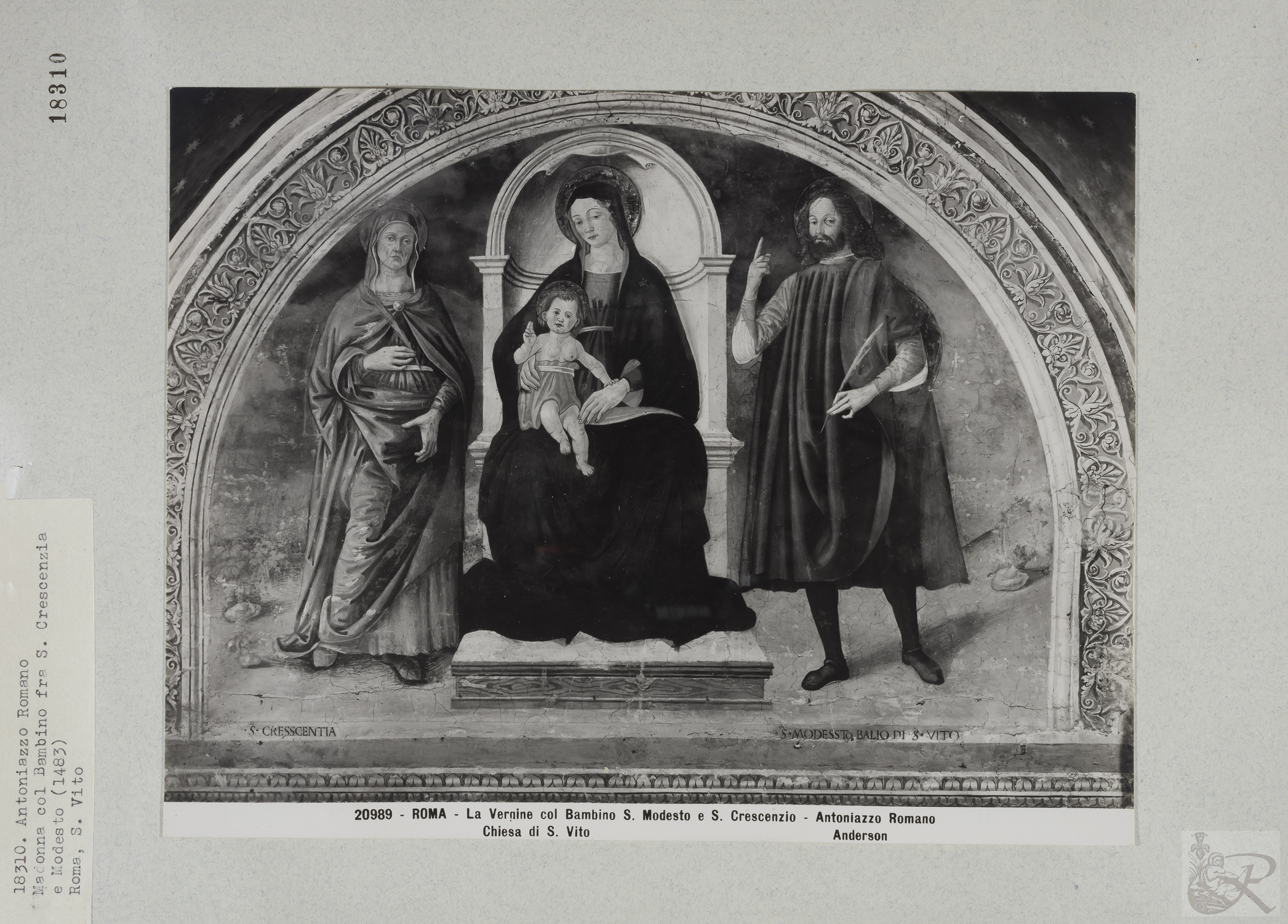 Immagine di anteprima