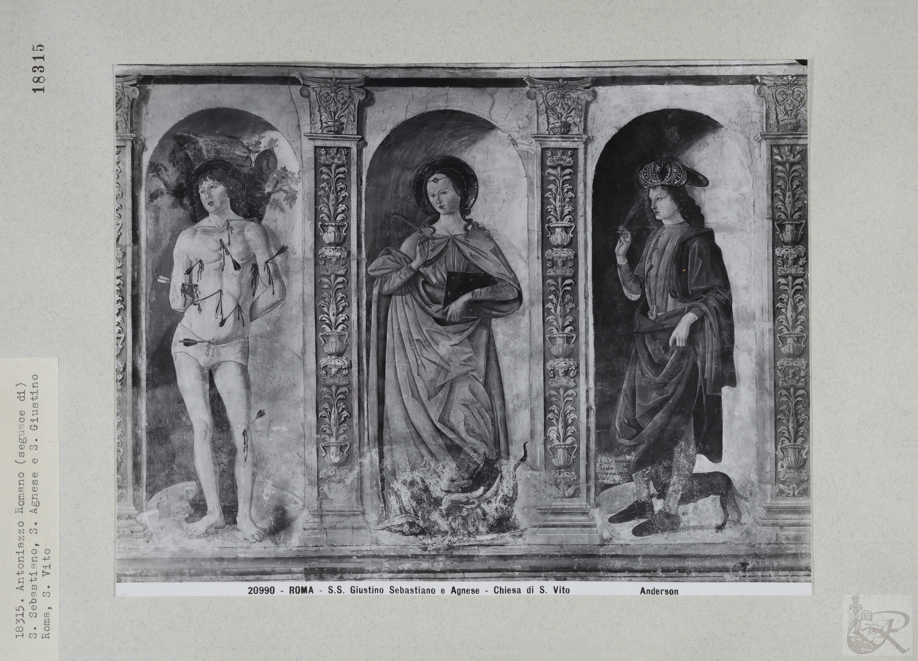 Immagine di anteprima